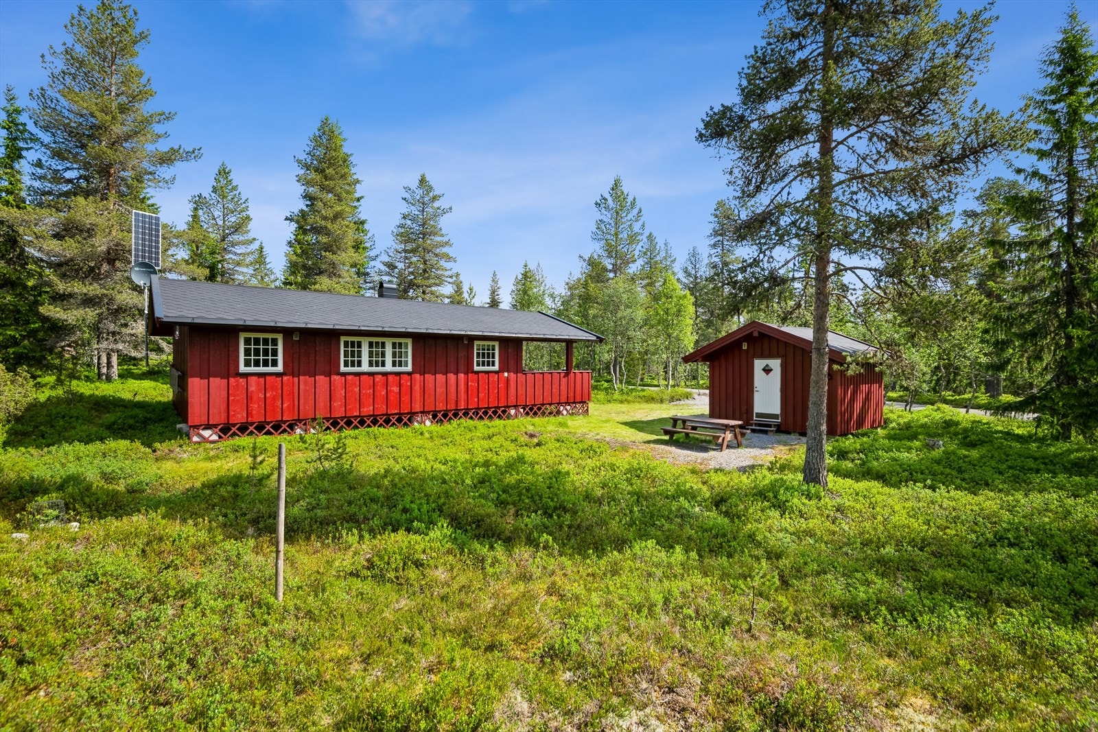 Hytta ligger lunt til på flat og fin naturtomt. Galleribilde