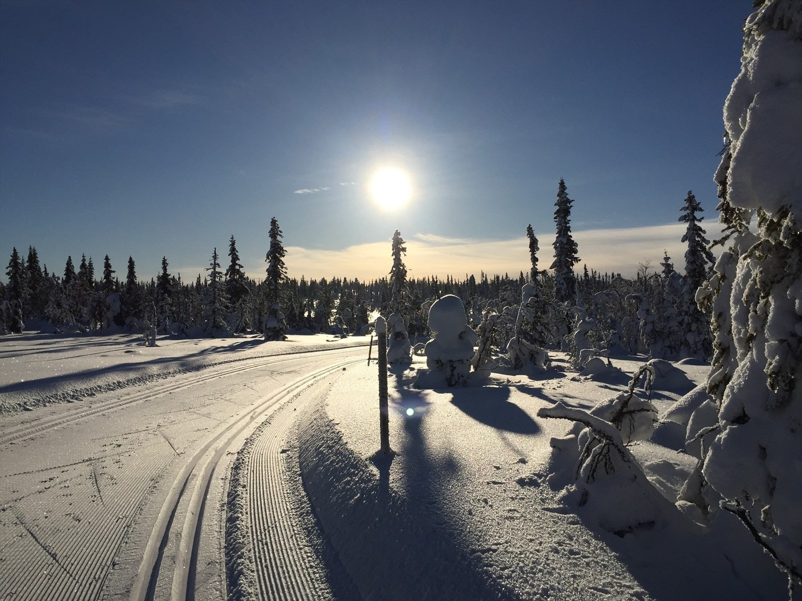 Vinteridyll - selgers eget bilde Galleribilde