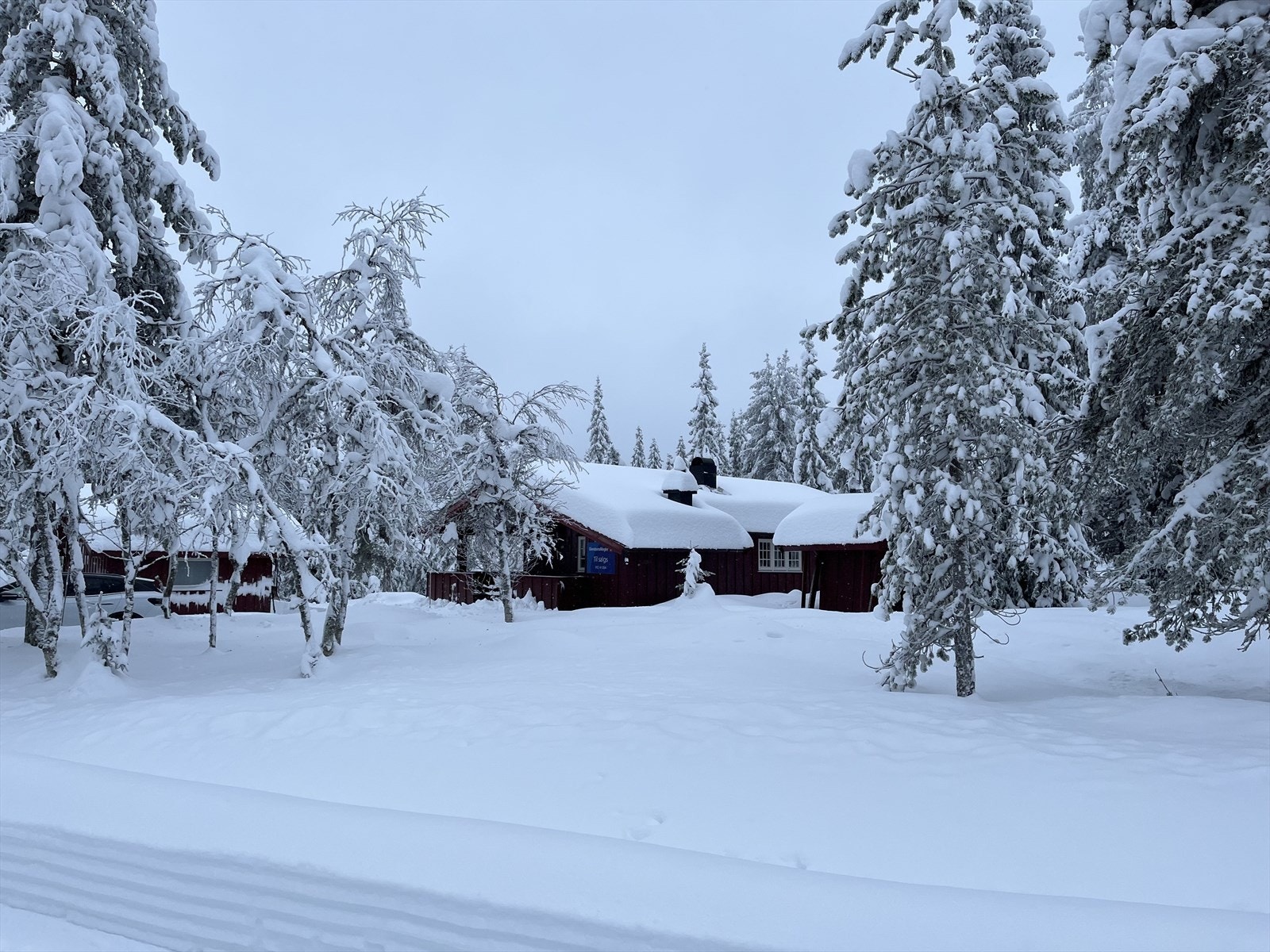 Velkommen til Hammarseterhøgda 148 - et koselig hyttetun med hovedhytte, uthus og frittstående utedo Galleribilde