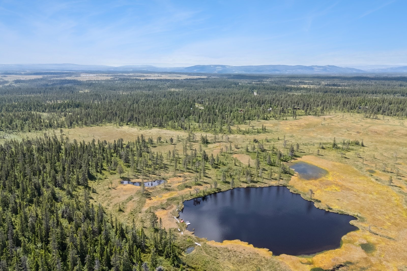 Områdebilde Galleribilde