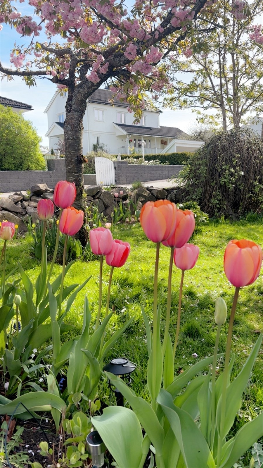 Selgers bilde Galleribilde