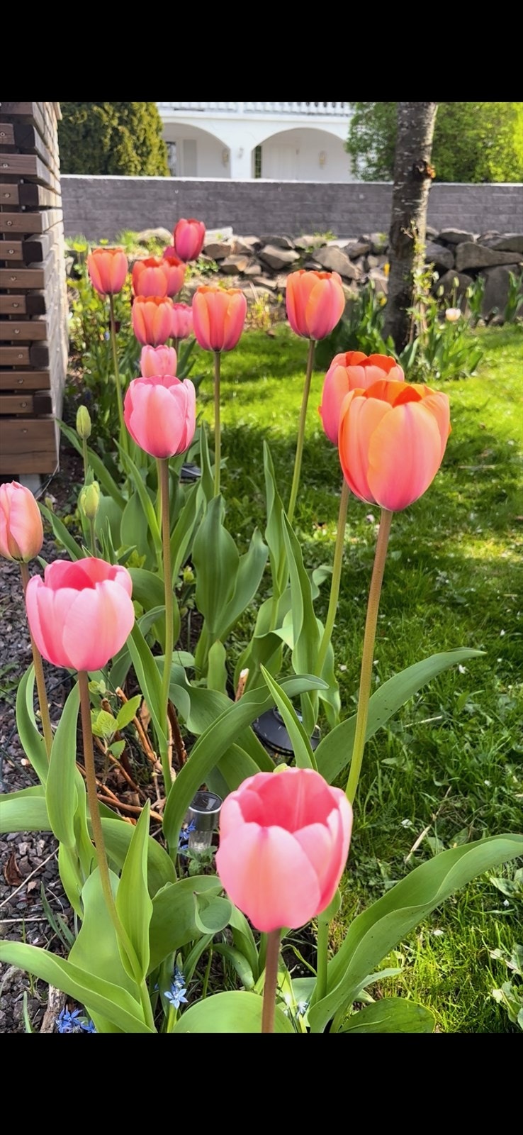 Selgers bilde Galleribilde