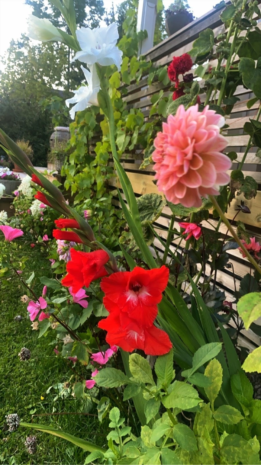Selgers bilde - her blomstrer det fra tidlig vår til senhøstes Galleribilde