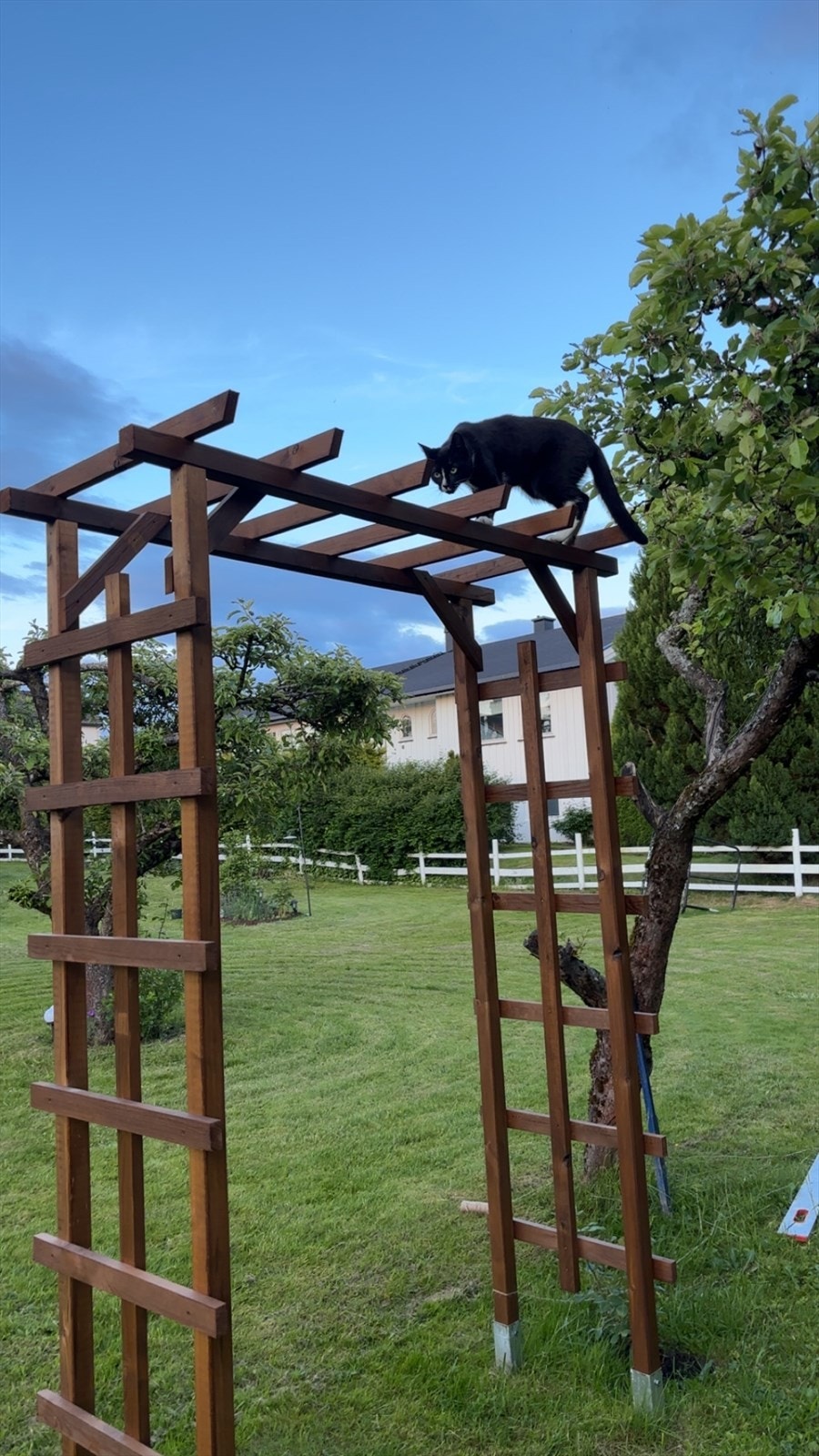 Selgers bilde Galleribilde