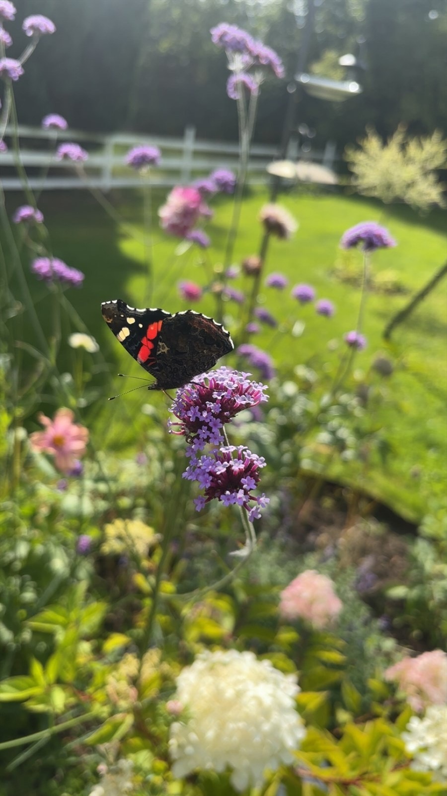 selgers bilde Galleribilde