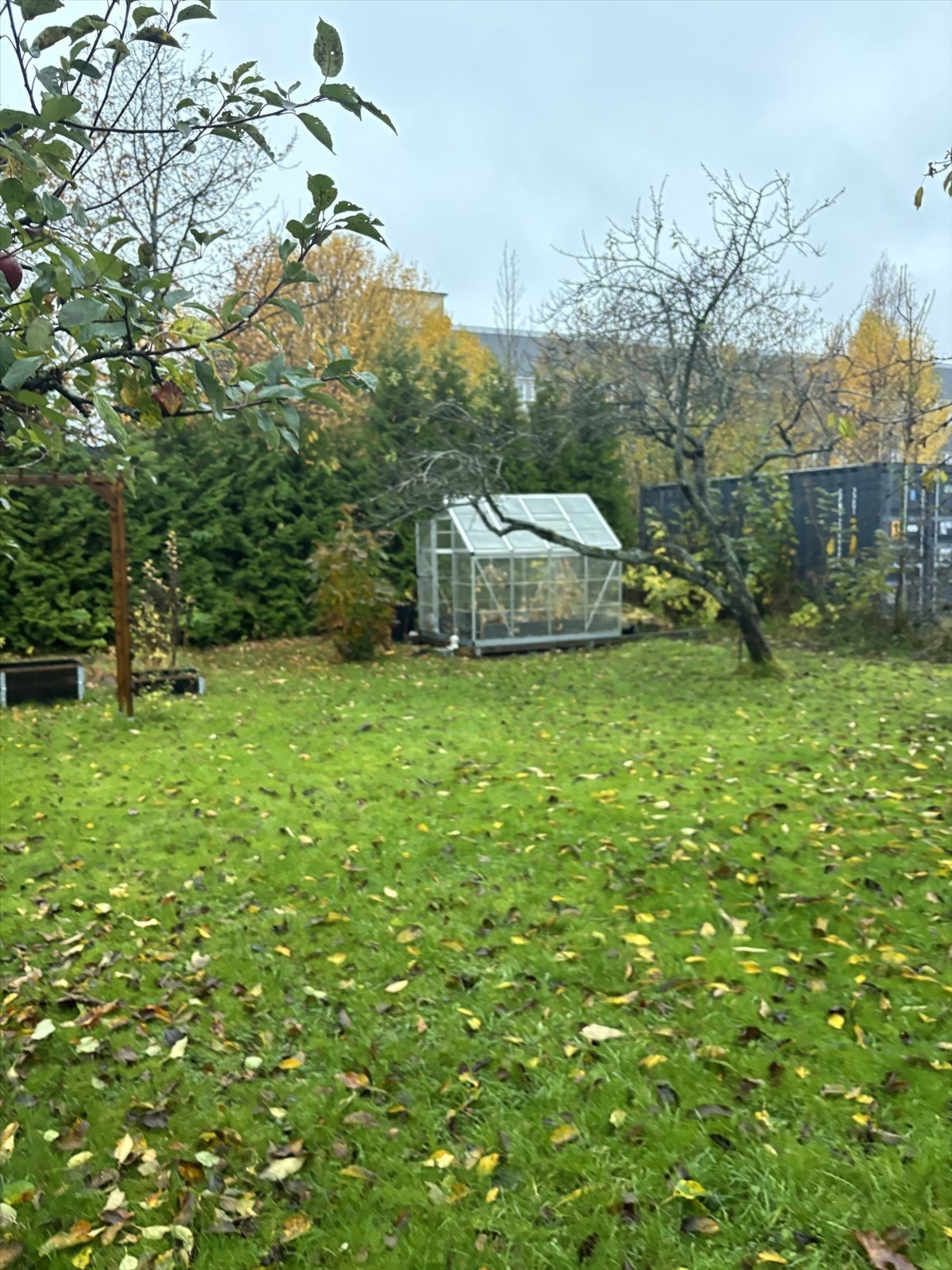 Selgers høst bilde av hagen Galleribilde