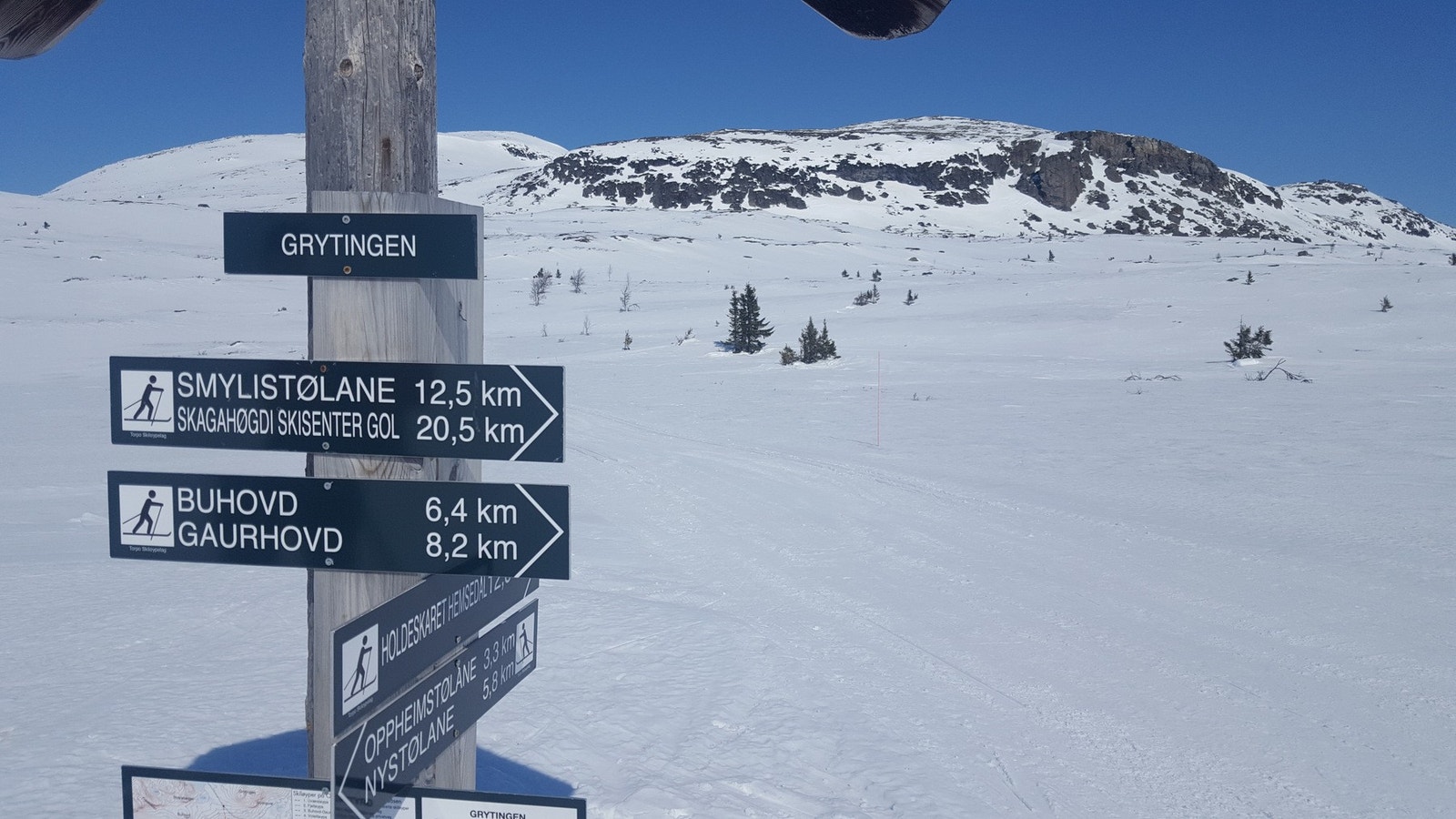 Skiløypene på Torpoåsen er brede og har både dobbeltspor og plass til skøyting. Her tråkkes det kontinuerlig fra sesongstart til sesongslutt. Galleribilde