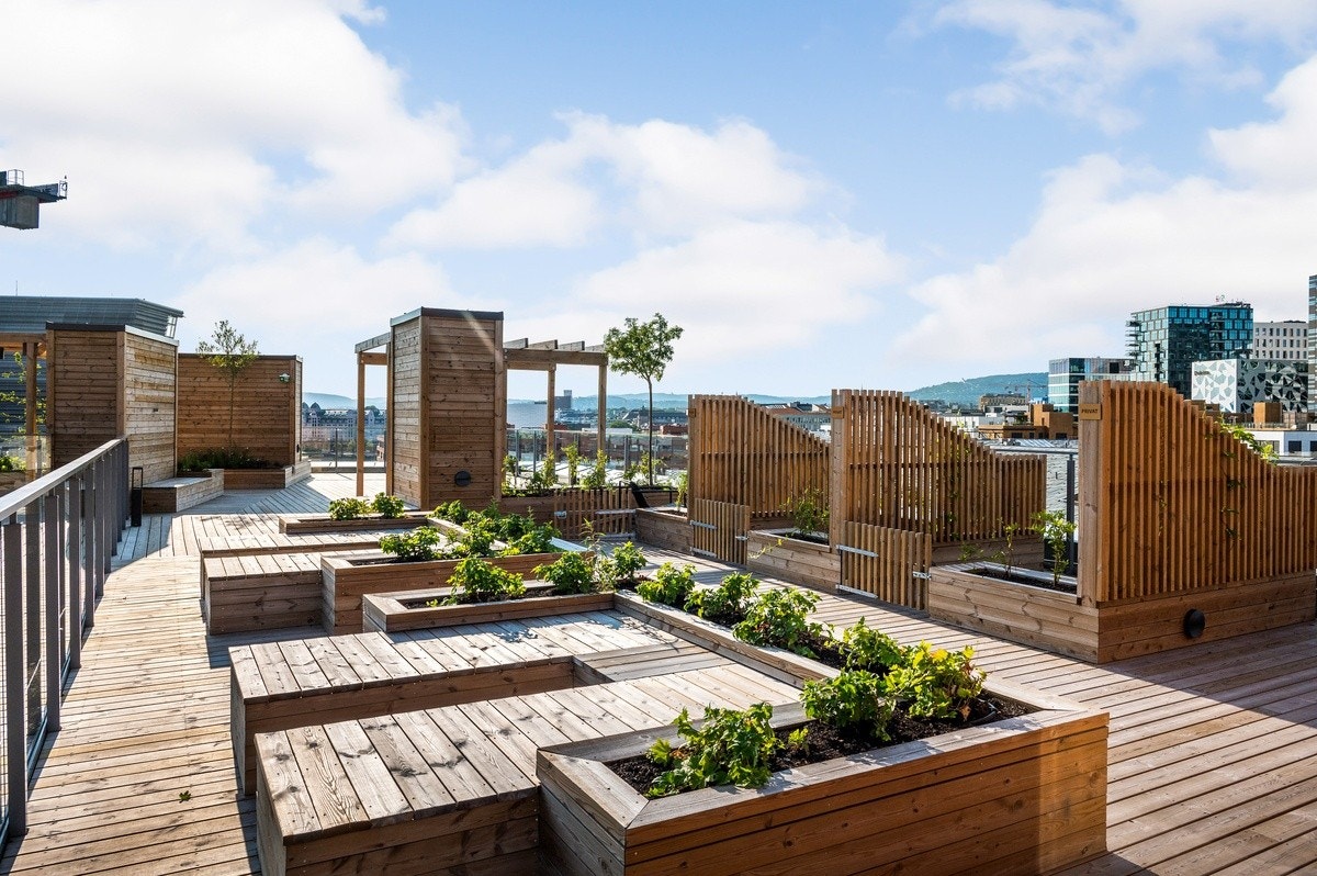 Takterrasse i nabobygget Galleribilde