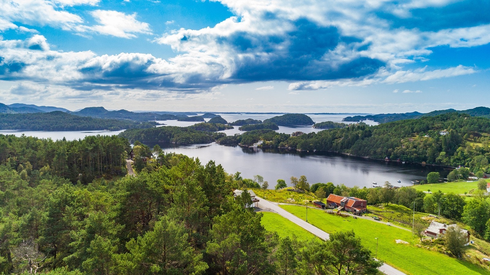 Konge på haugen Galleribilde