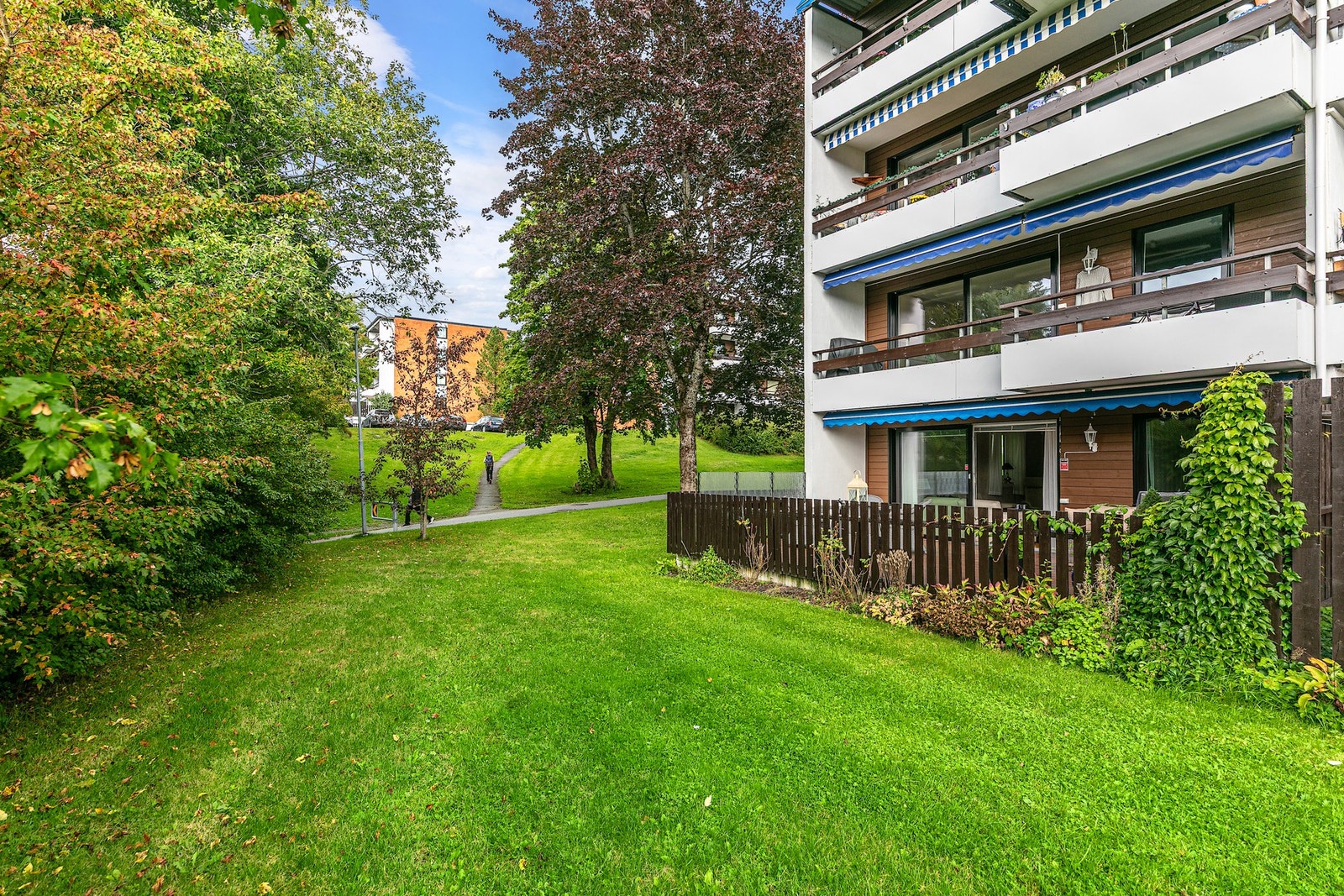 (Bilde tatt på sommerstid) Galleribilde