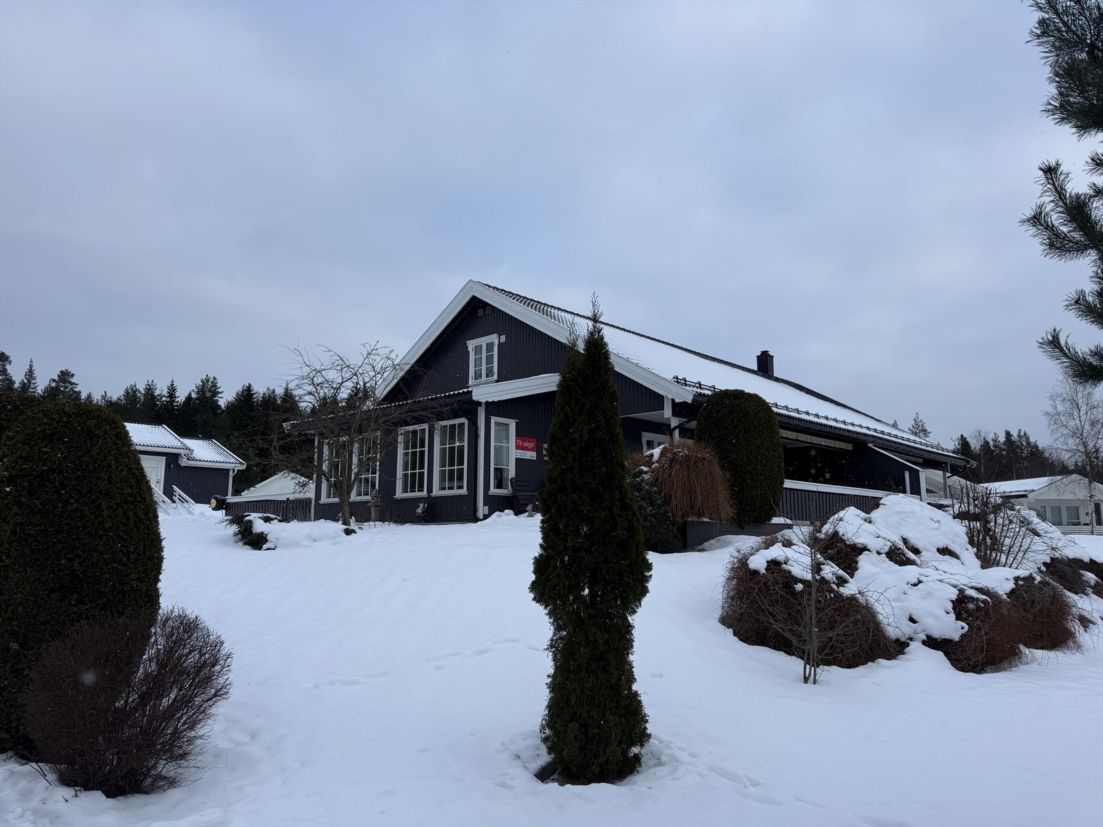 IMG_6678.jpeg Galleribilde