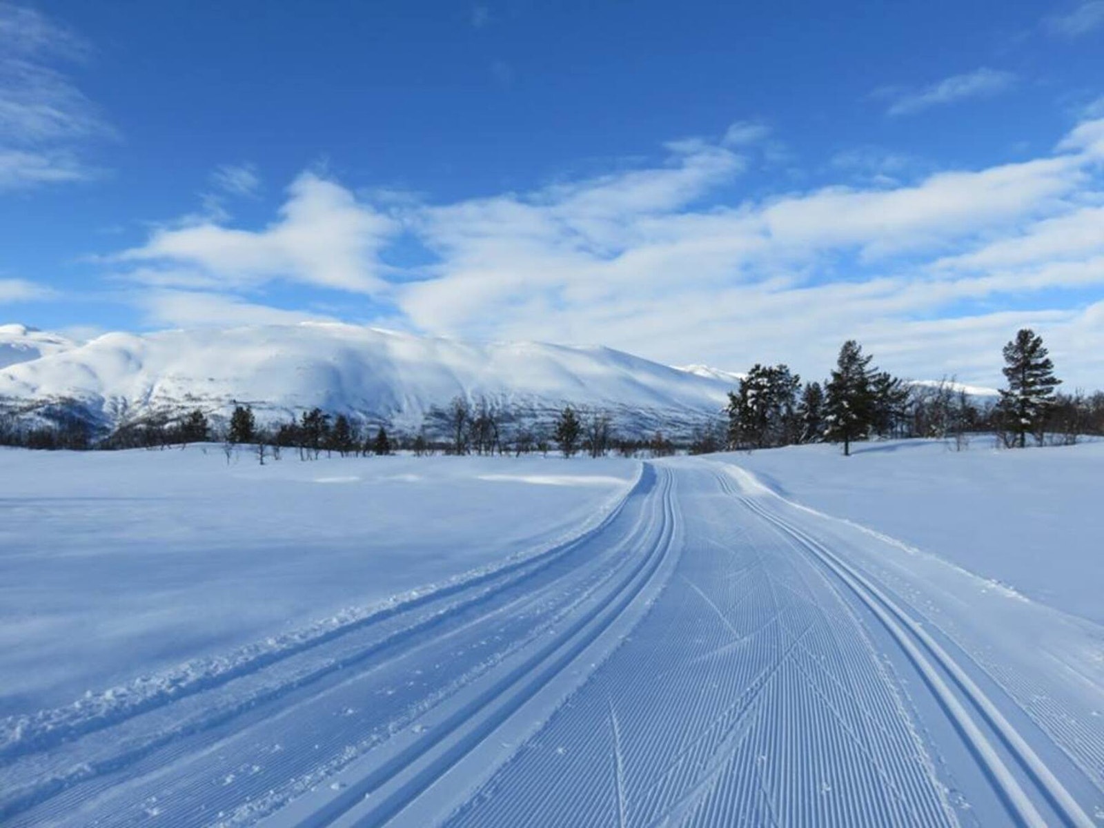 Fullt skøytespor og to doble, klassiske spor i alle løyper Galleribilde