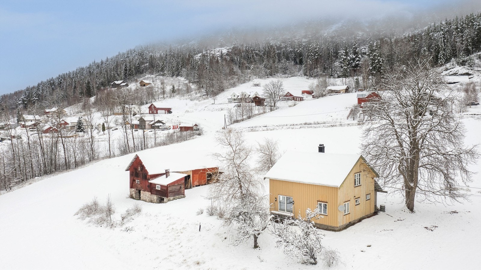 Flott og solrik tomt med enebolig og eldre låve/uthus. Foto: Danny Twang. Galleribilde