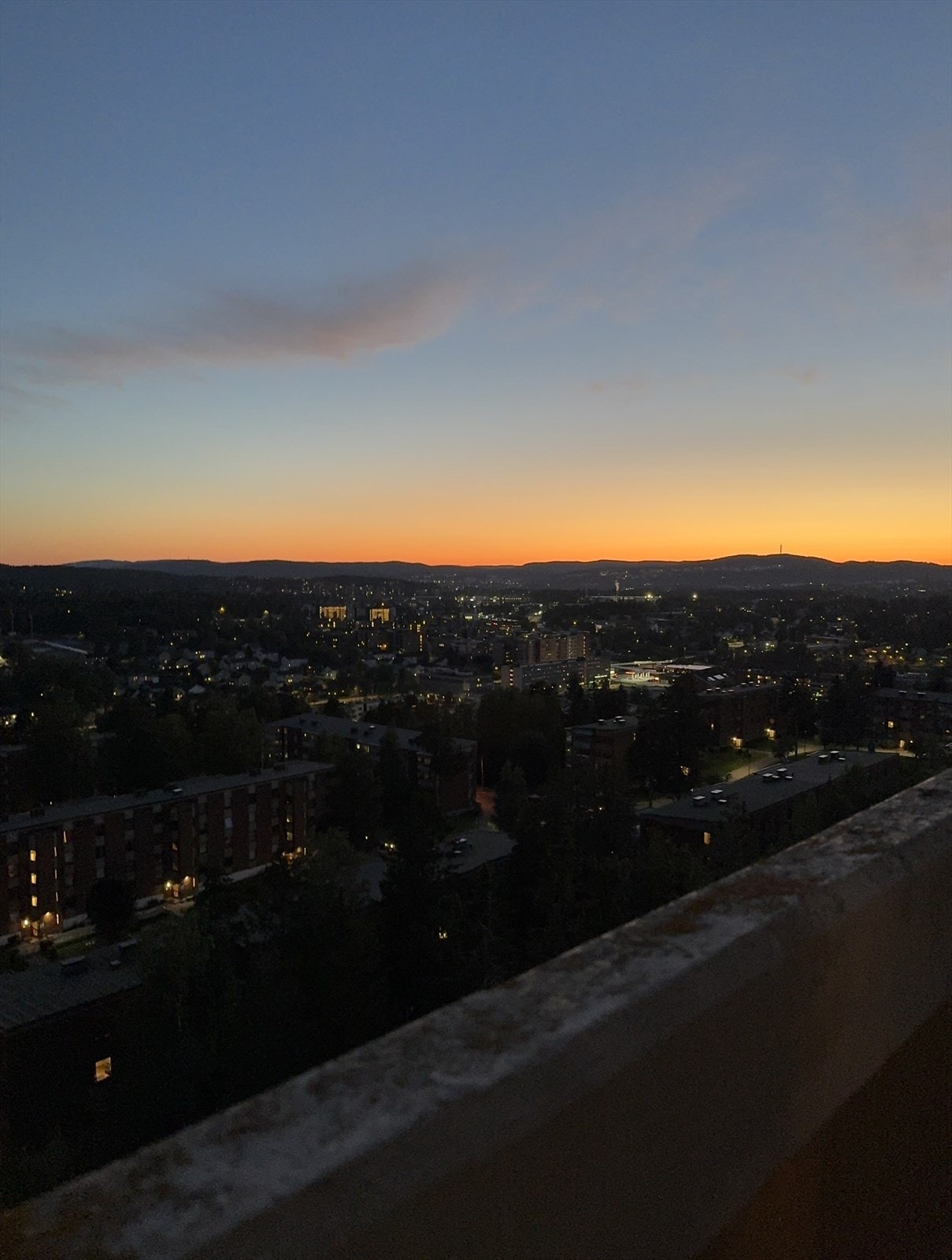 Selgers private bilder Galleribilde