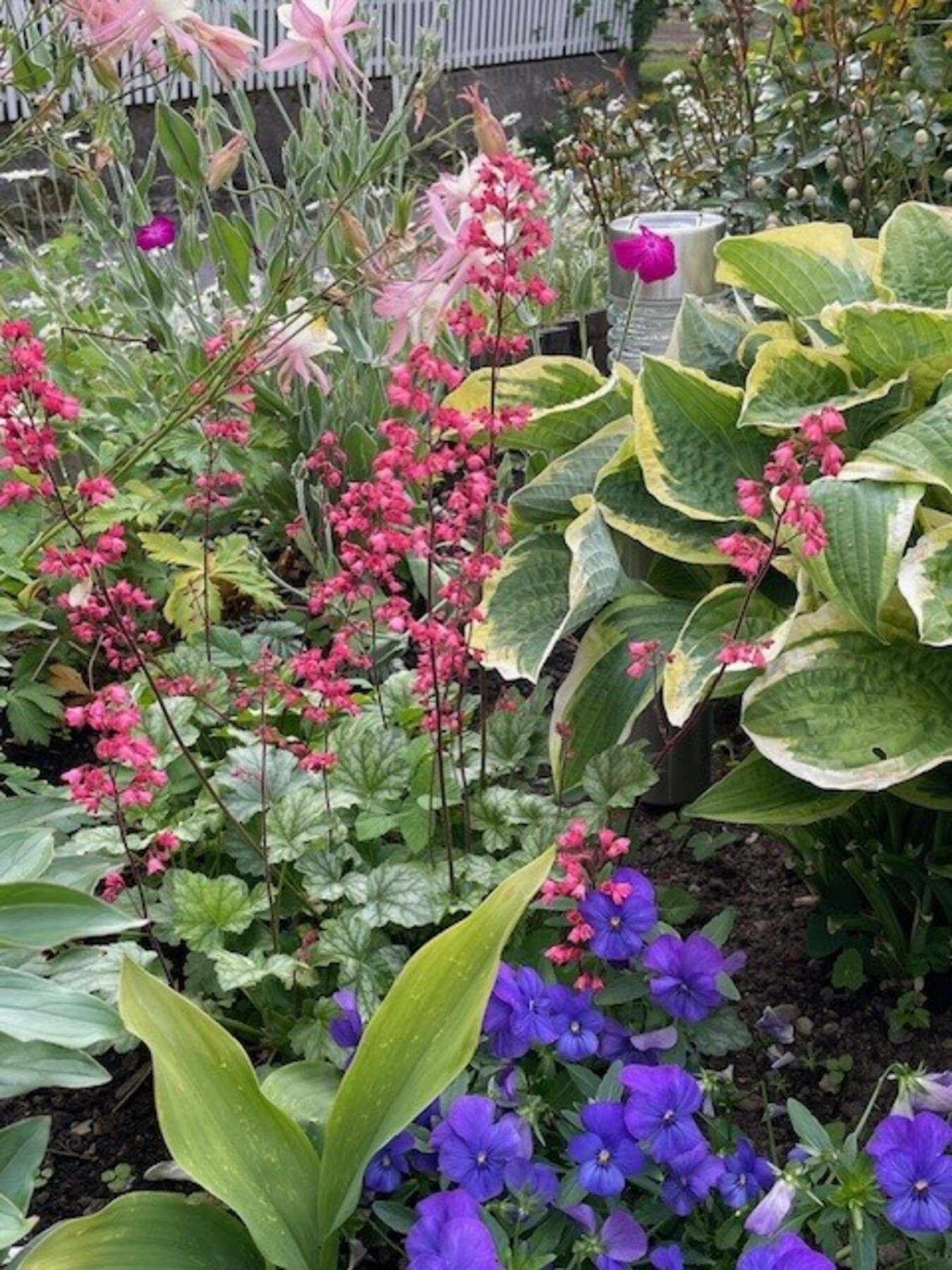 Foto: Selger Galleribilde