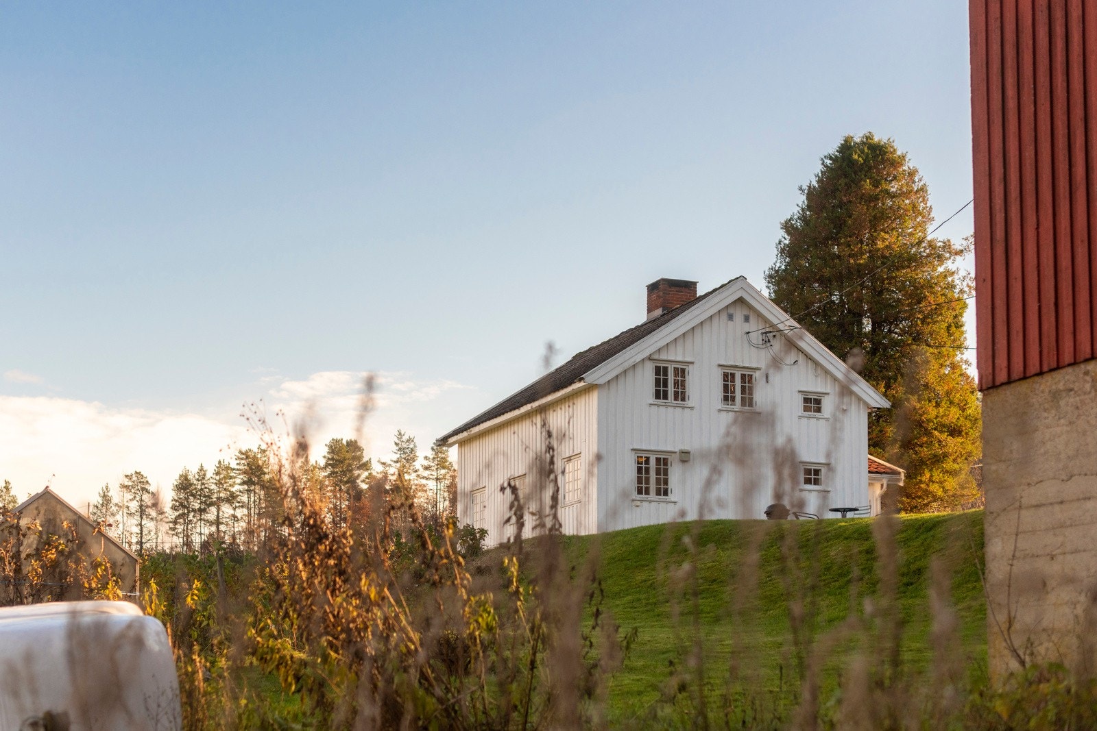 Idyllisk gårdstun med en god del produktiv skog Galleribilde