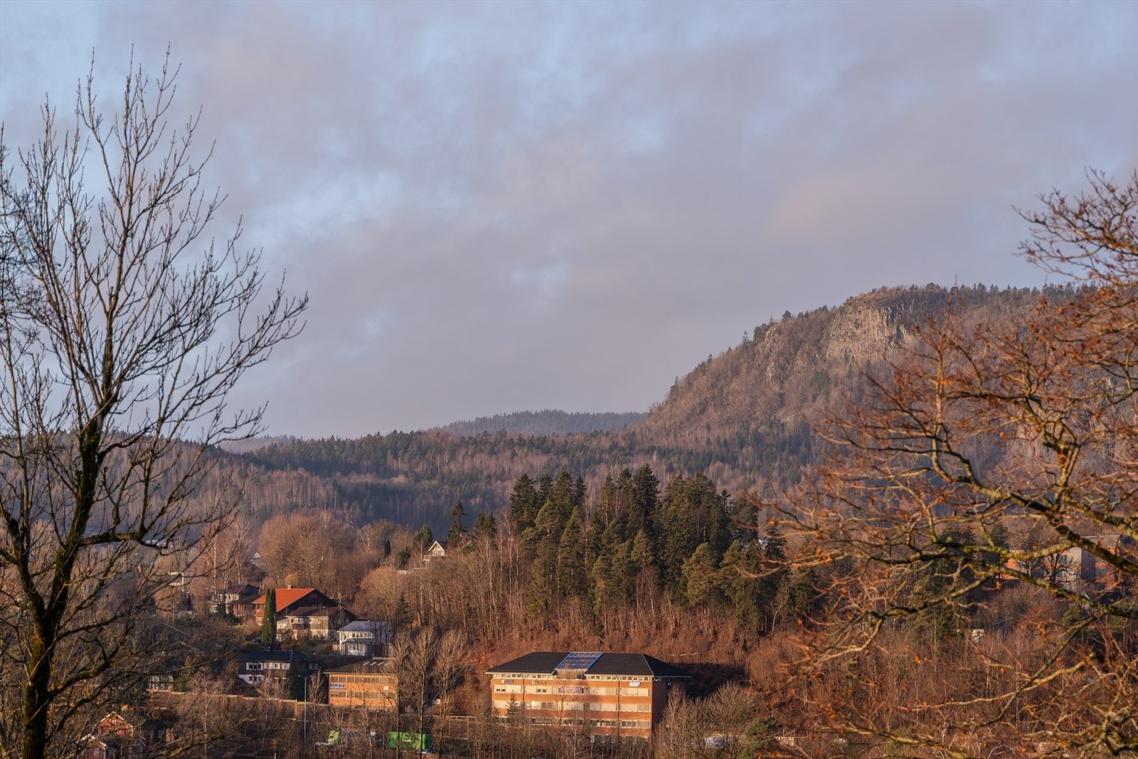 Utsikt mot Skaugumsåsen. Galleribilde