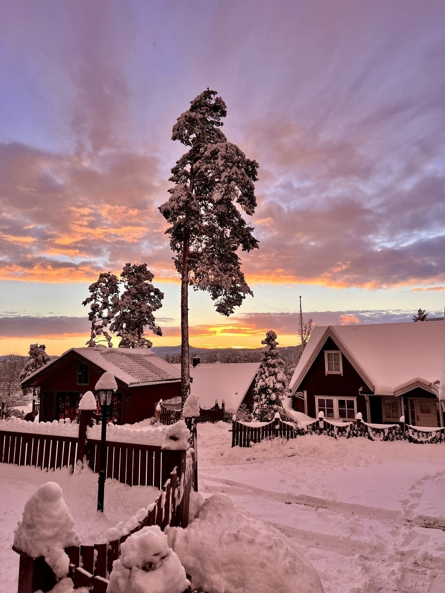 Vinterbilde Galleribilde