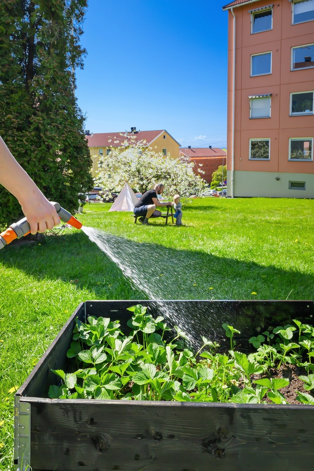Utenfor blokken er det gode muligheter til en herlig kjøkkenhage Galleribilde