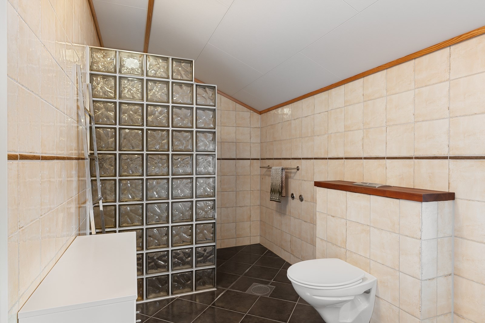 Vegghengt toalett og stor dusjnisje Galleribilde