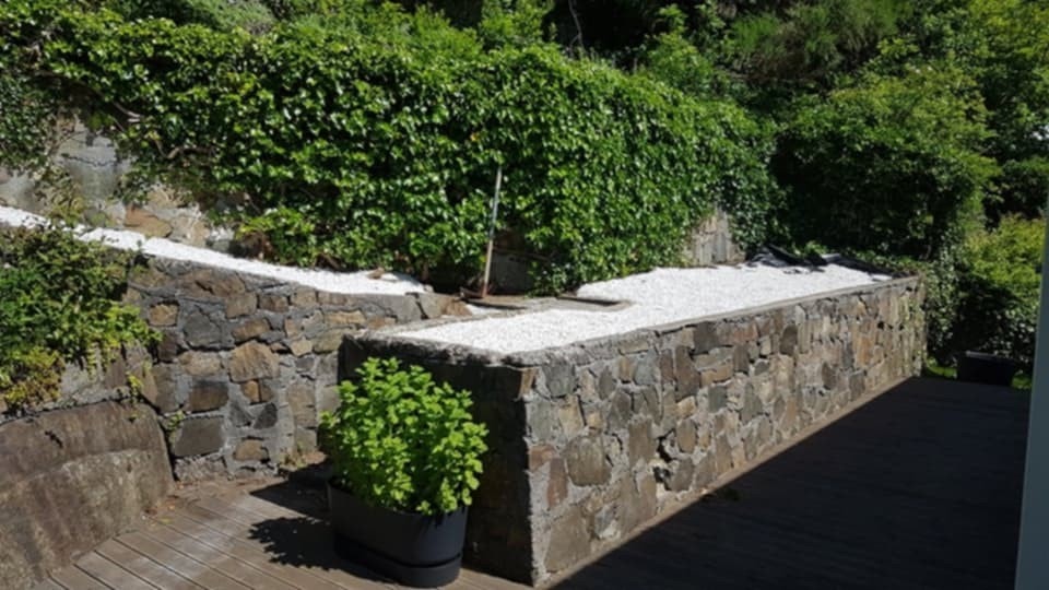 Privat bilde. Galleribilde