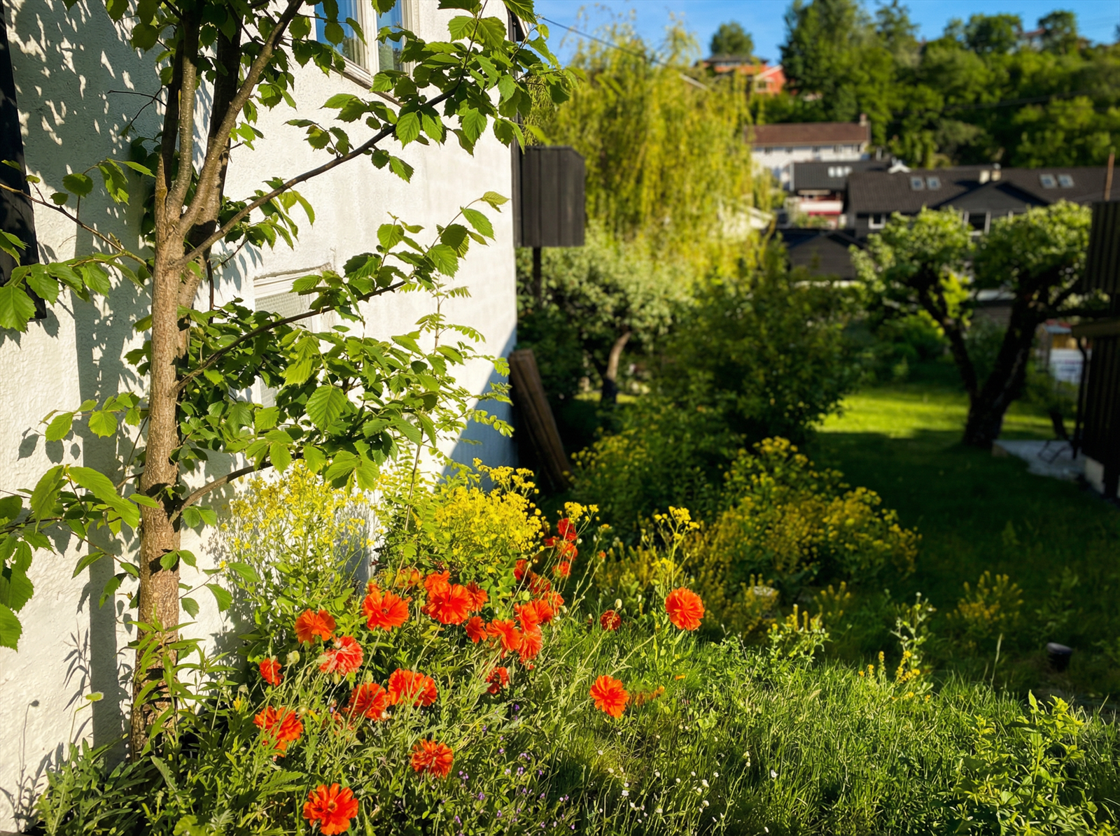 Selgers private sommerbilde (Bildet er redigert av megler) Galleribilde