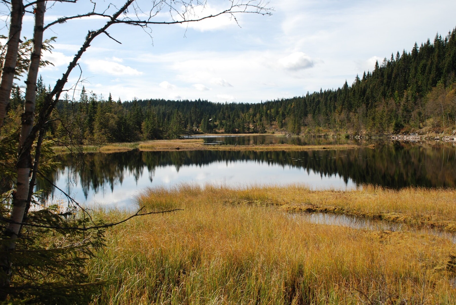 Det er gode turmuligheter året rundt. Det er merkede fotturer til avsidesliggende og stille områder med fine fiskevann hvor man også kan ta en forfriskende dukkert. Galleribilde