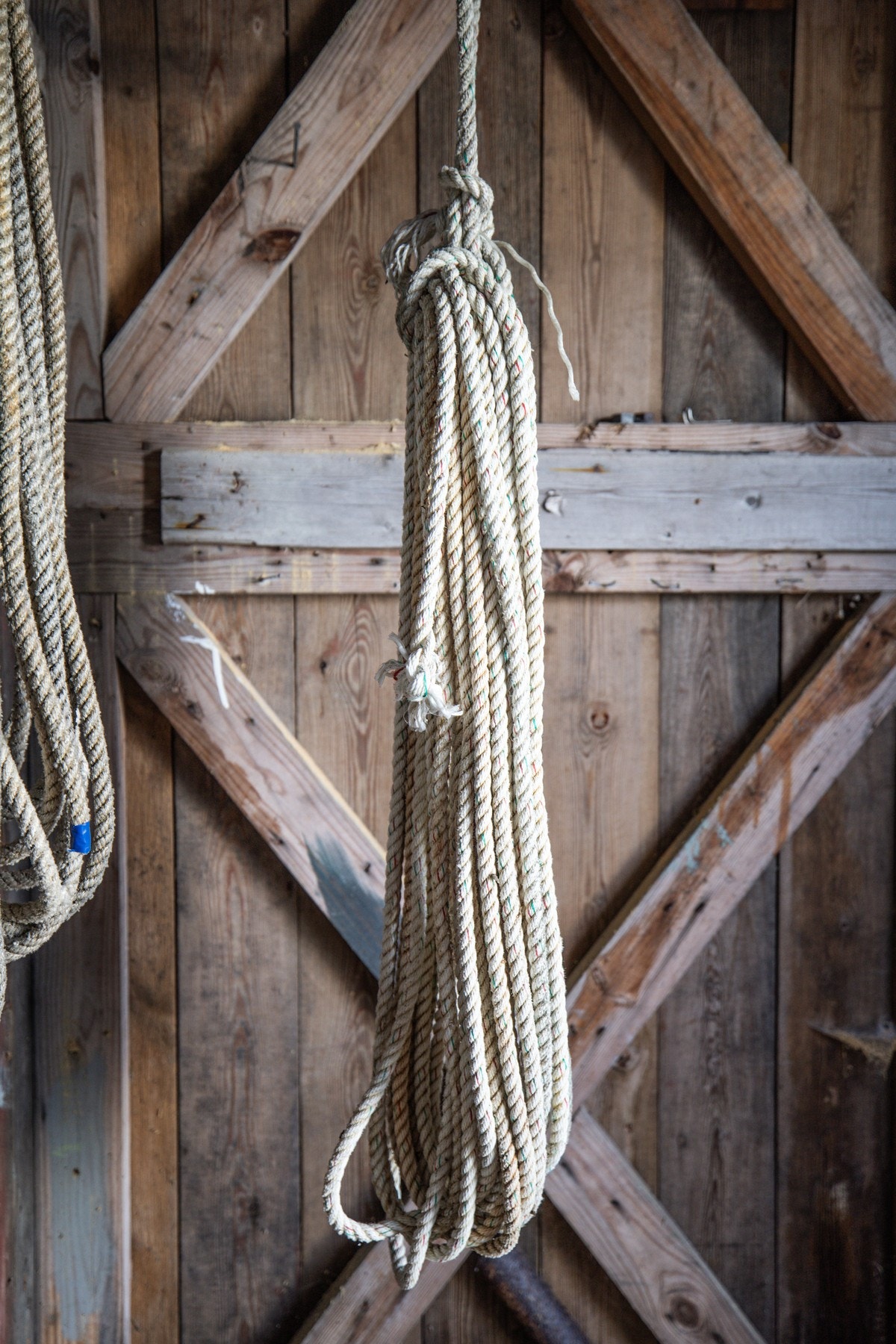 Detaljebilde Galleribilde