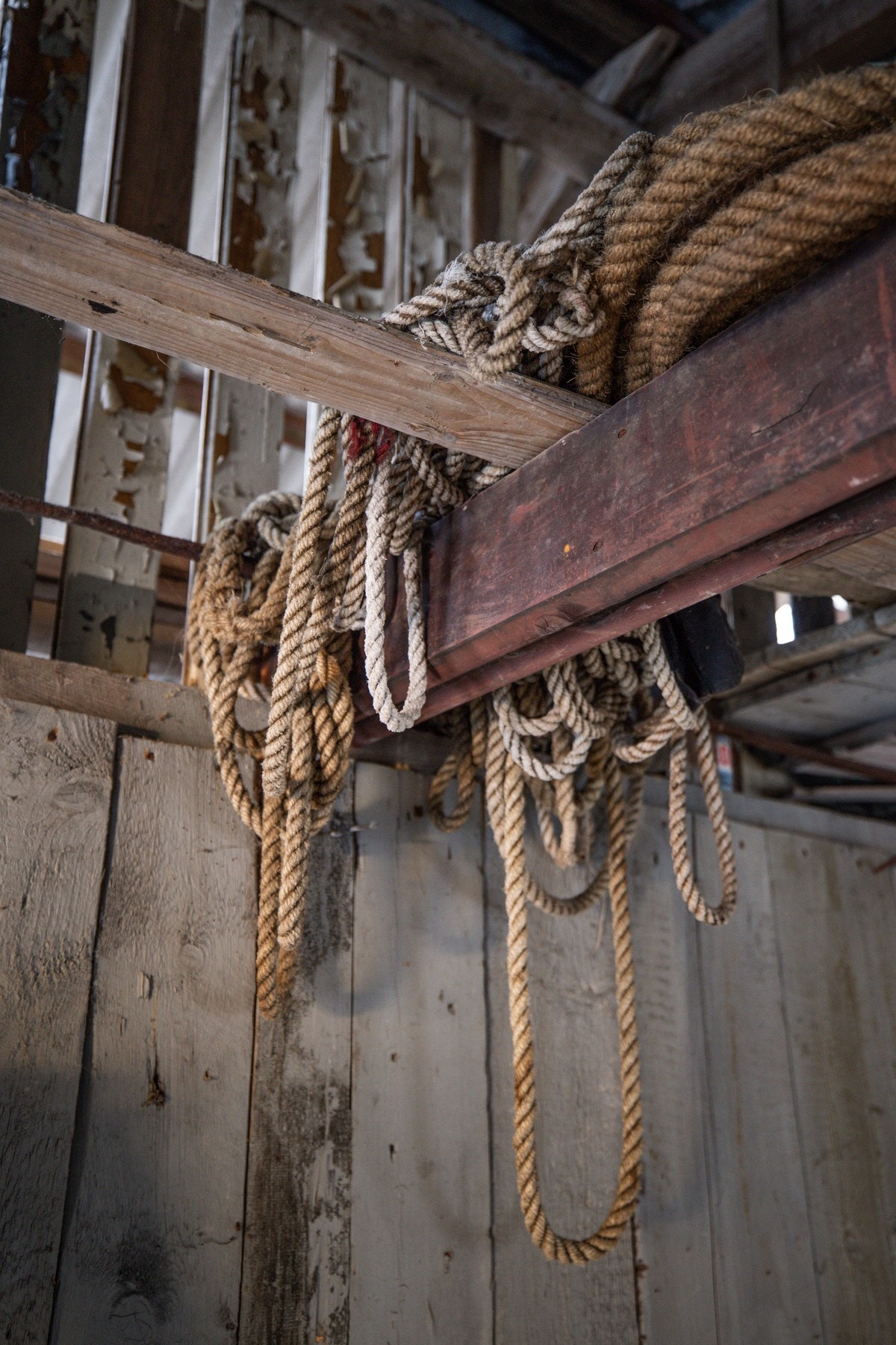 Detaljebilde Galleribilde