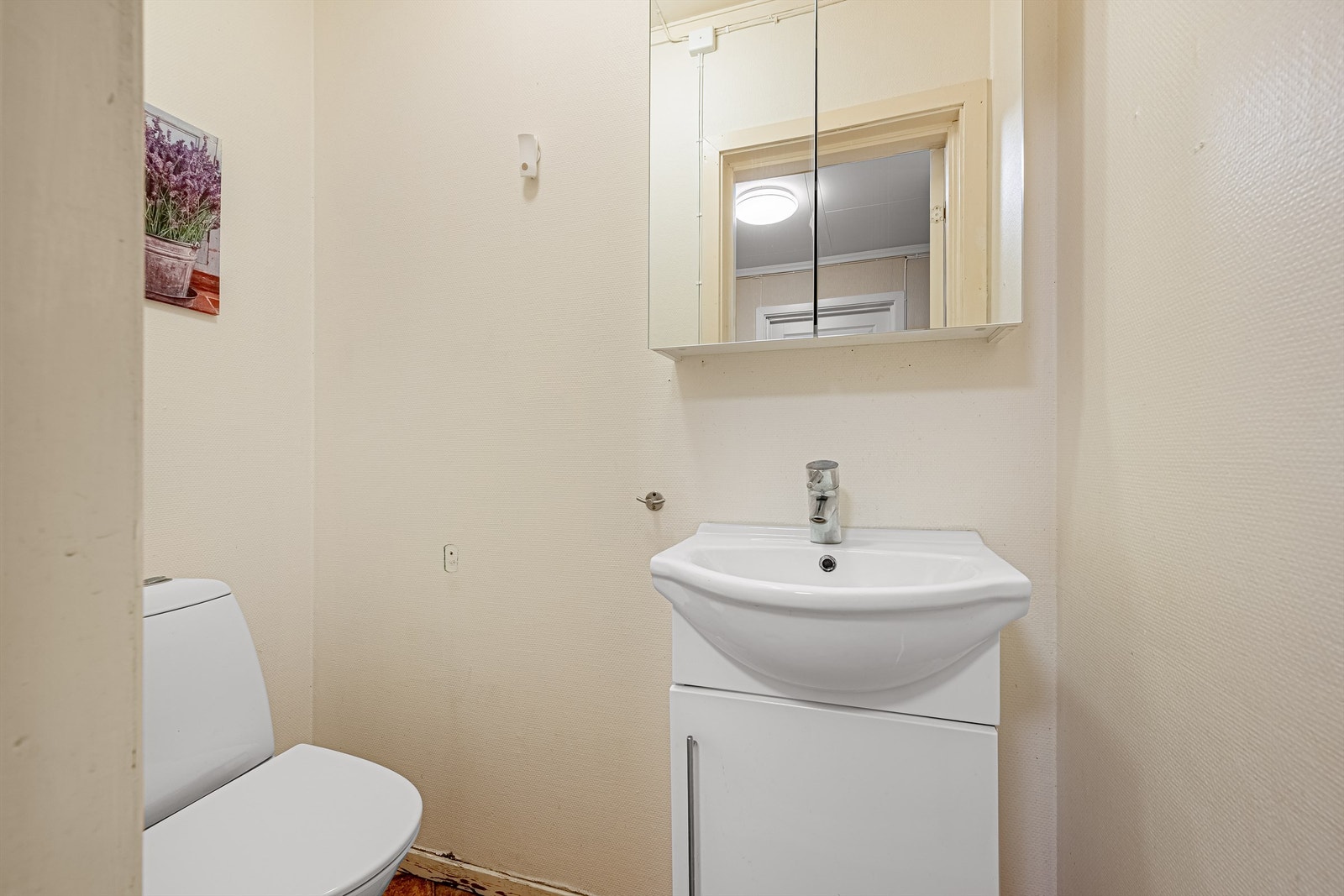 WC-rom med tilgang fra entre Galleribilde