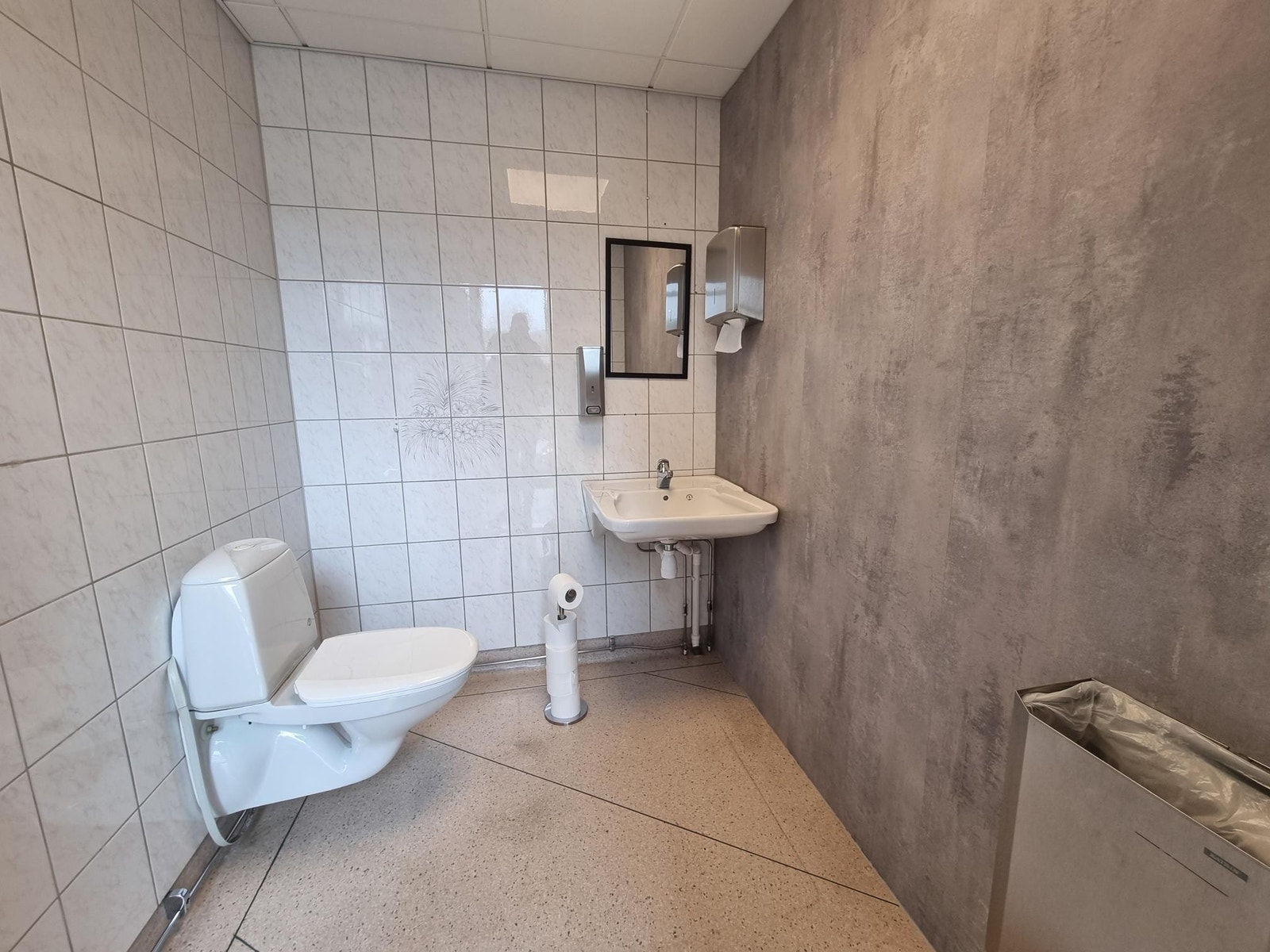 Nyoppusset handikap toalett med servant Galleribilde