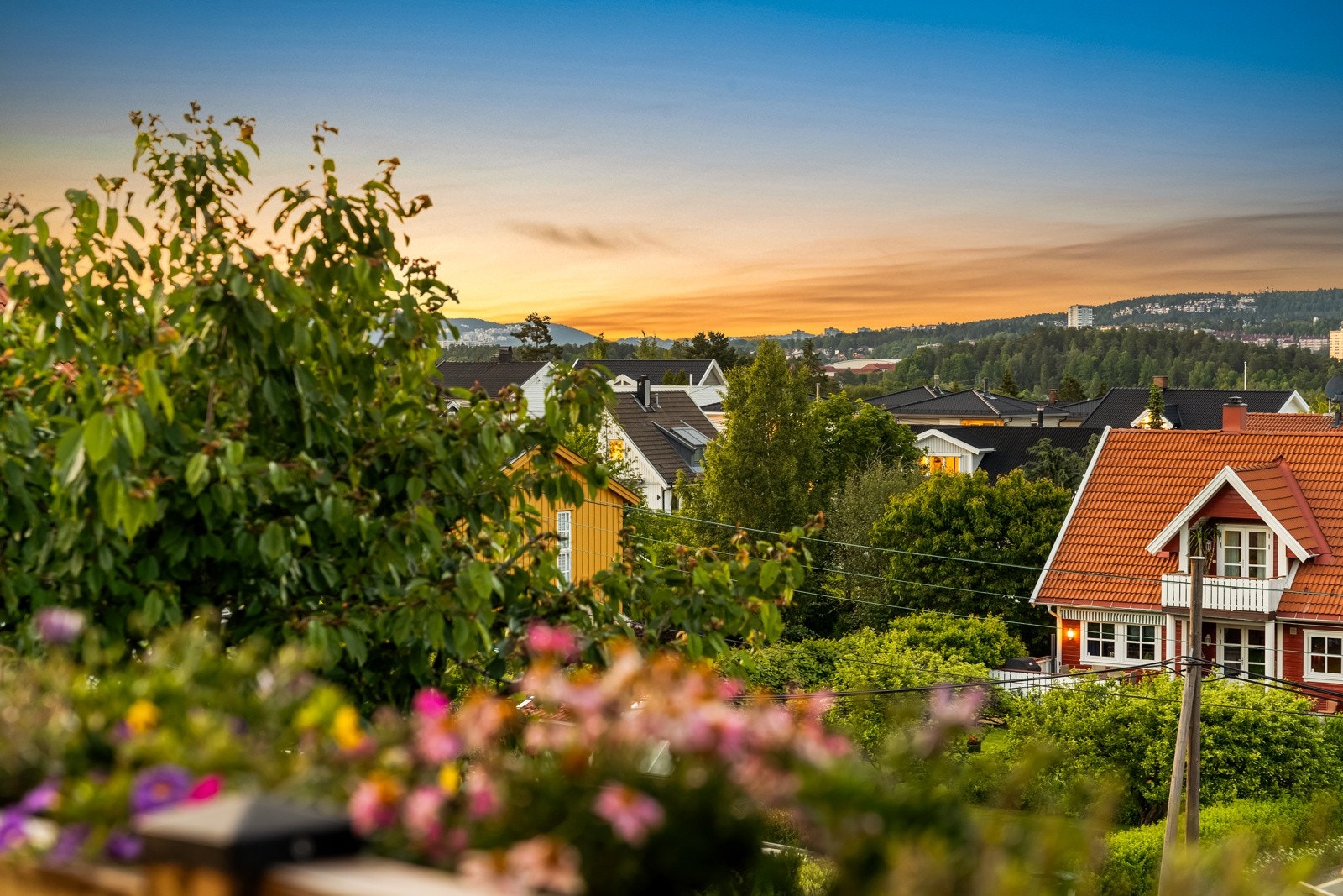 Fin utsikt. Galleribilde