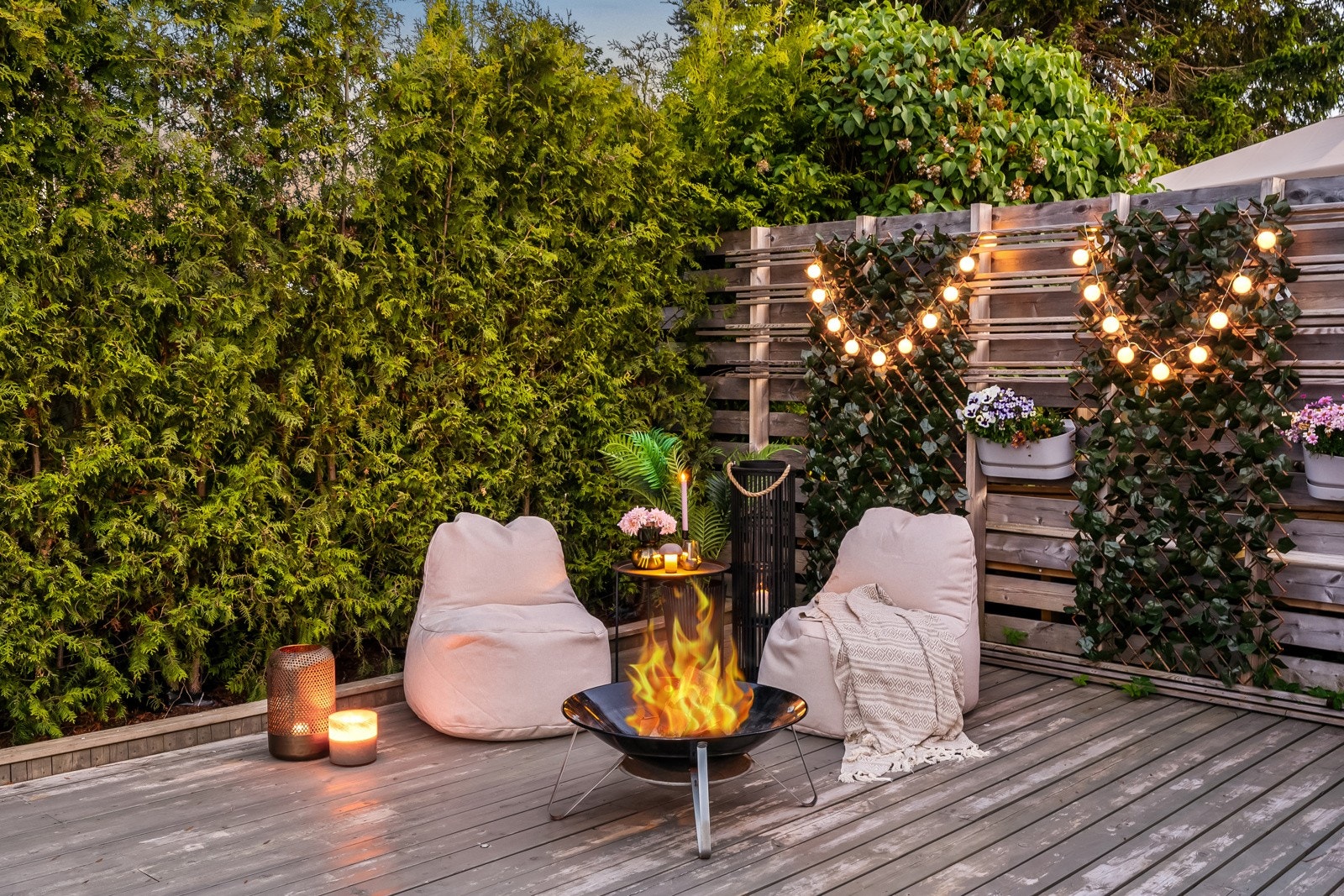 Kveldsstemning. Galleribilde