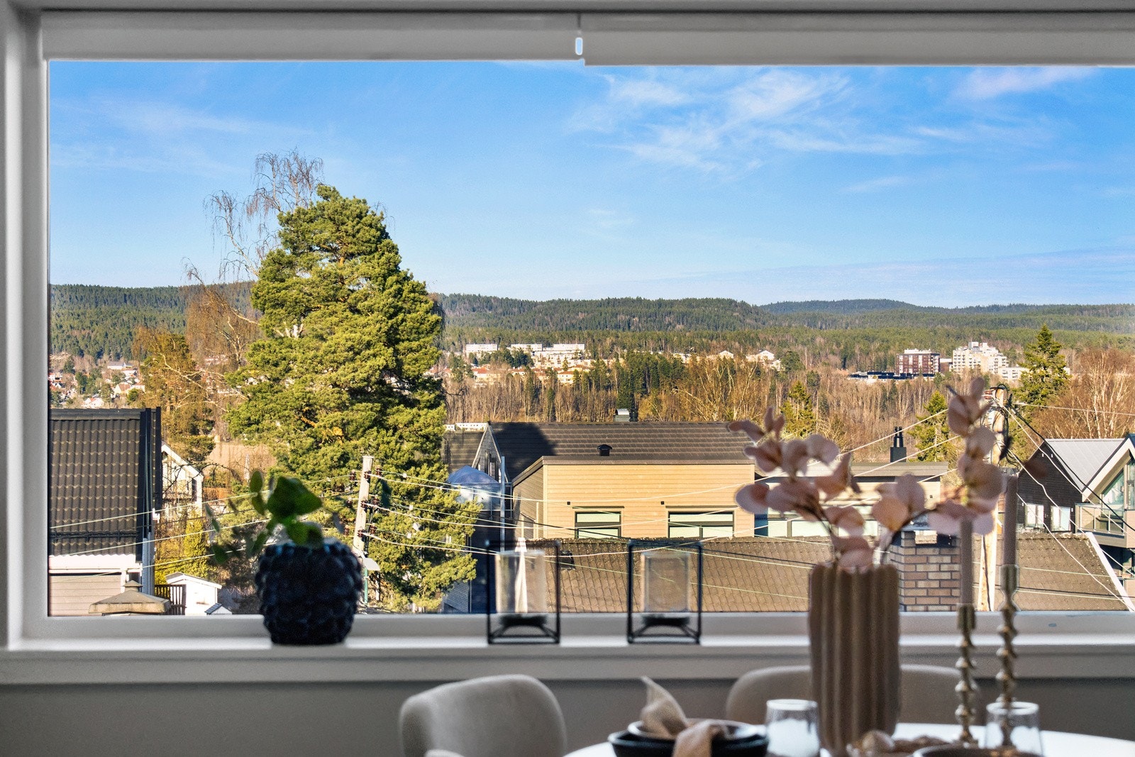 Flott usiktt fra spisebordet. Galleribilde