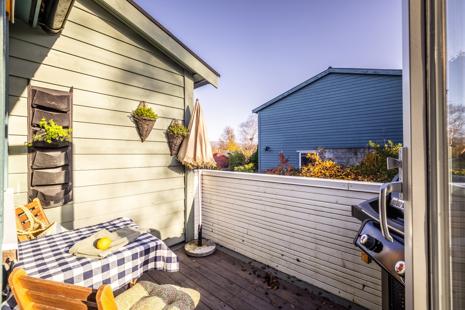 - Solforholdene er gode - Galleribilde