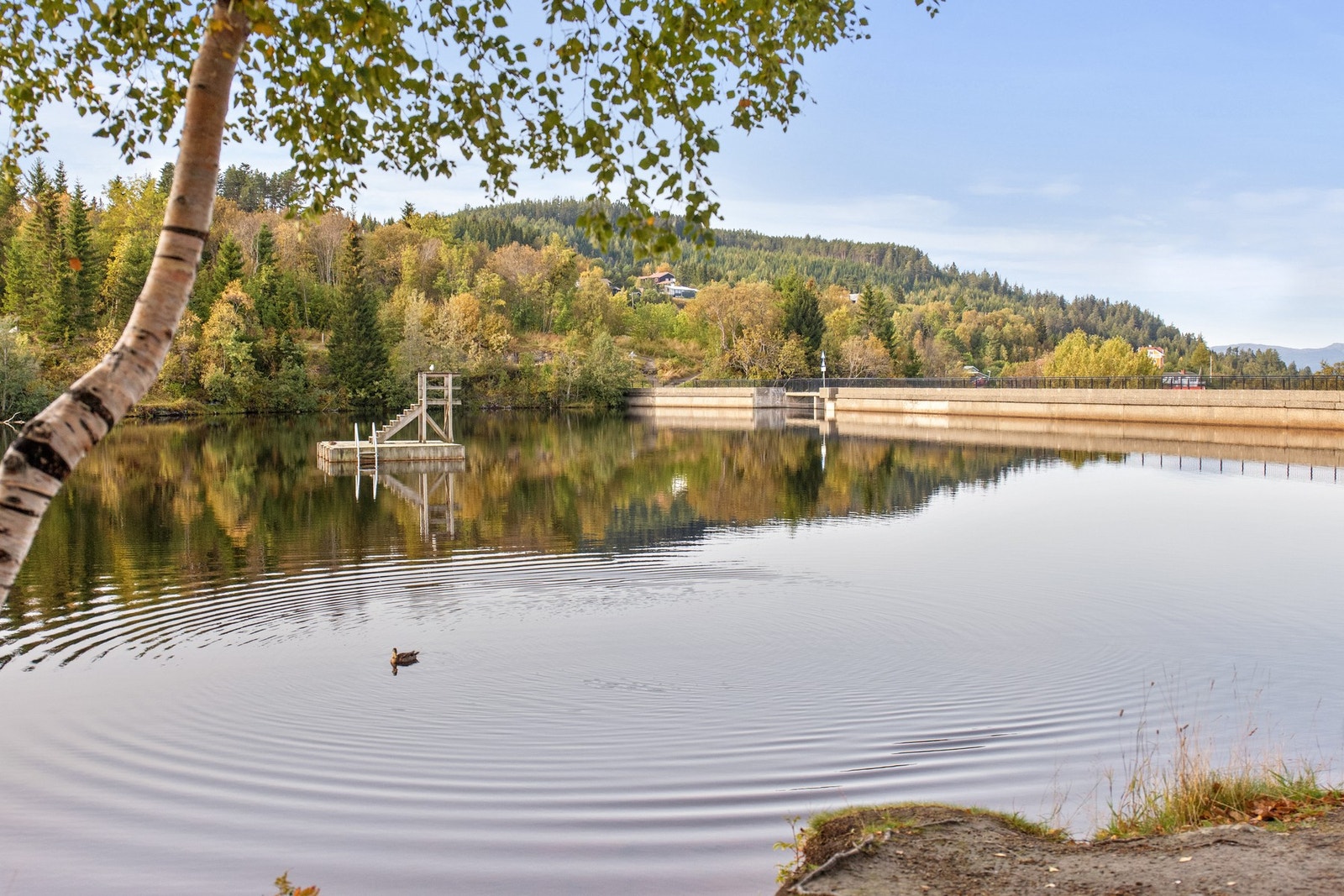Theisendammen ligger ca. 7 minutter gange fra boligen. Galleribilde