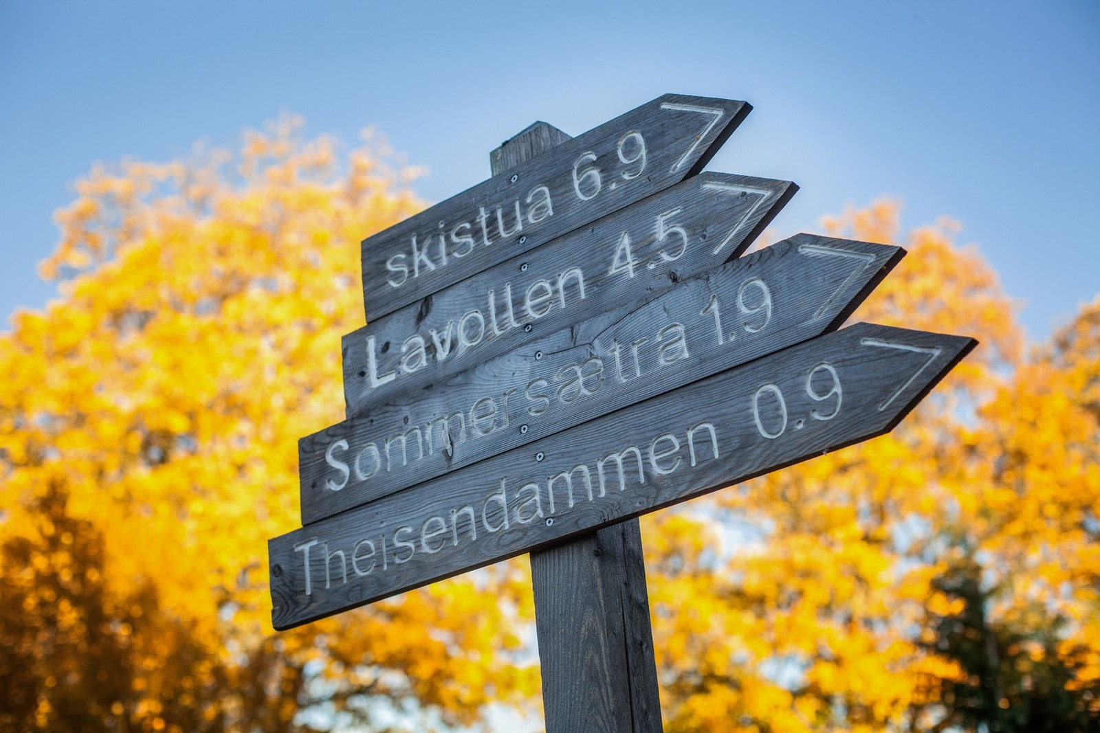 Bymarka har helårs turterreng i tillegg til bade- og fiskemulighet. Galleribilde