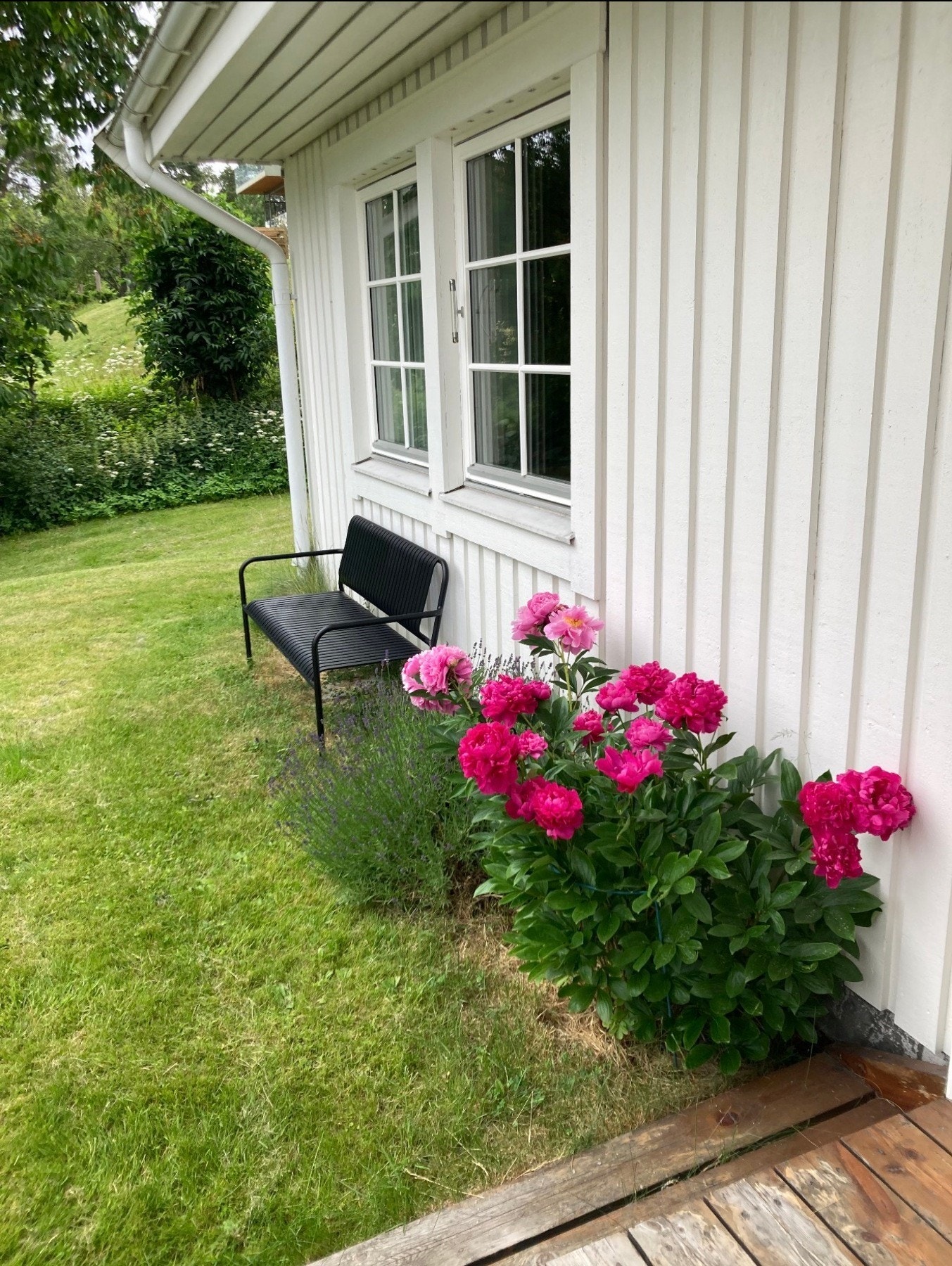 Sommerbilder fra selger. Galleribilde