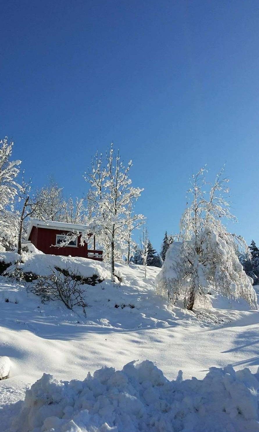 Lekestuen vinterstid. Galleribilde