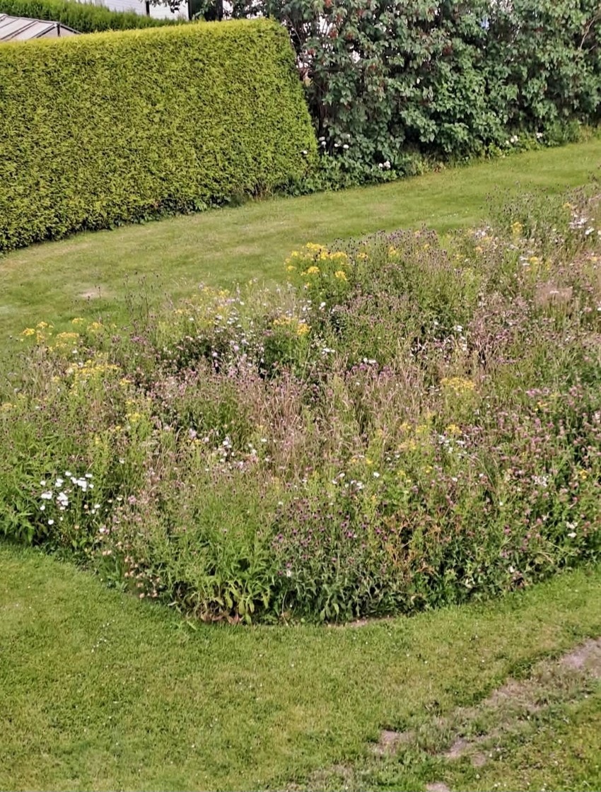 Privat bilde av beplantning utenfor huset Galleribilde