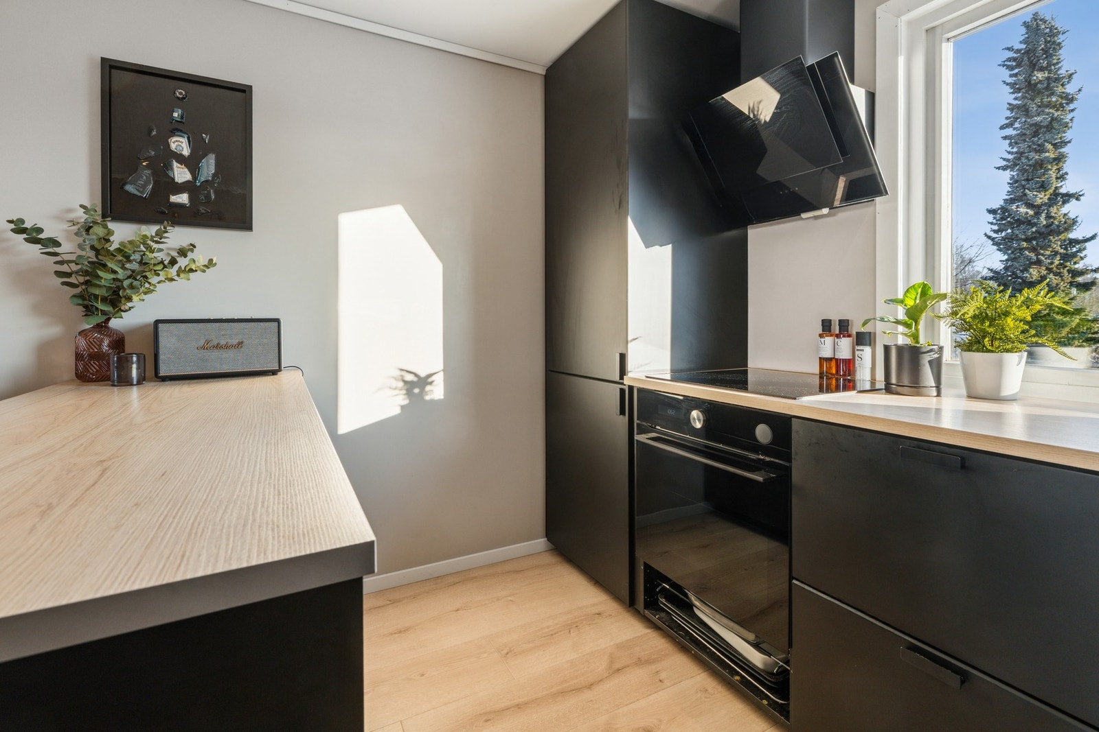 Integrert kjøleskap med fryserdel. Integrert oppvaskmaskin. Innfelt vaskemaskin. Integrert komfyr med nedfelt induksjonstopp. Komfyrvakt. Mekanisk kjøkkenventilator med avtrekk ut yttervegg. Vannrør av kobber. Synlige avløpsrør av plast og støpejern. Varm Galleribilde