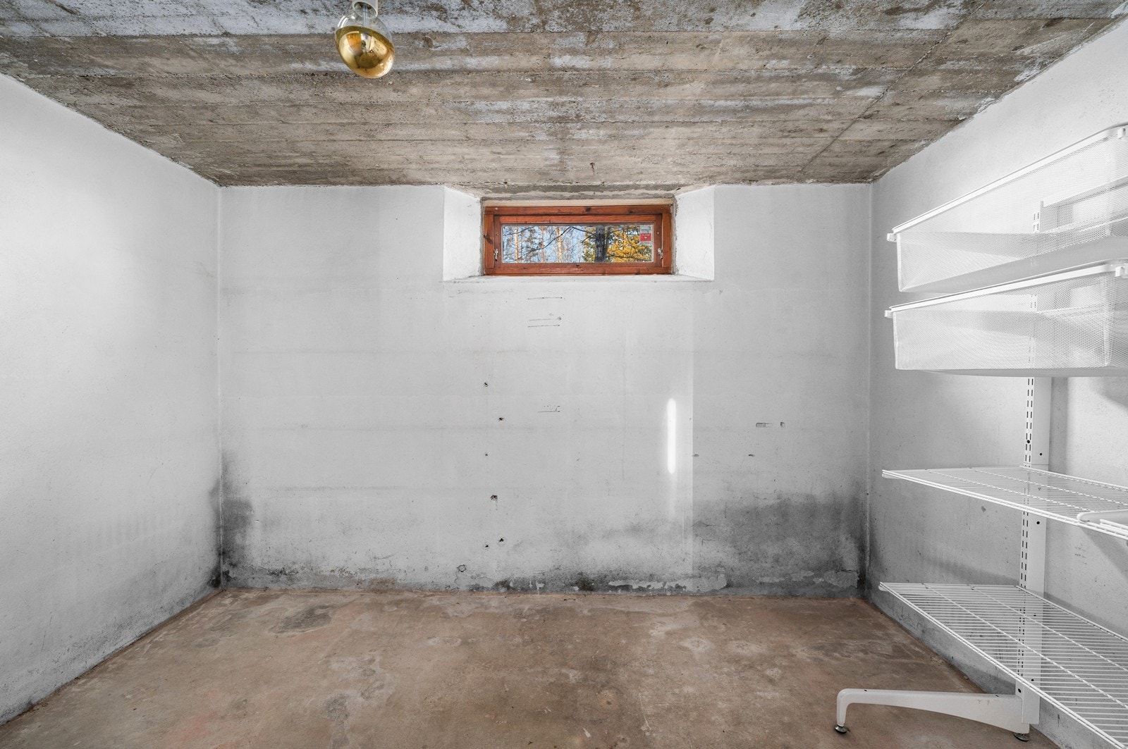 Bod kjeller Galleribilde