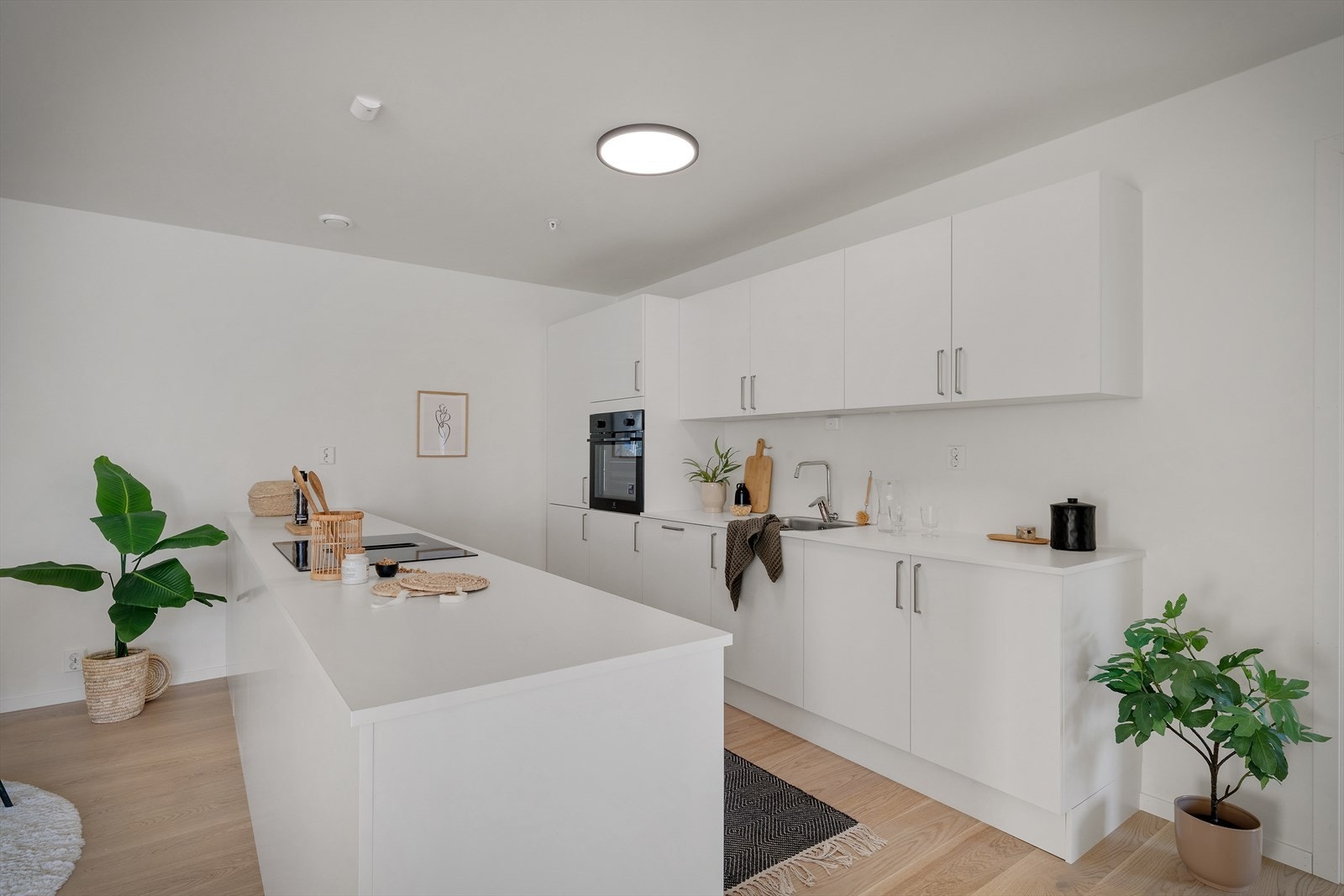 Kjøkkenet er levert fra Aubo. Galleribilde