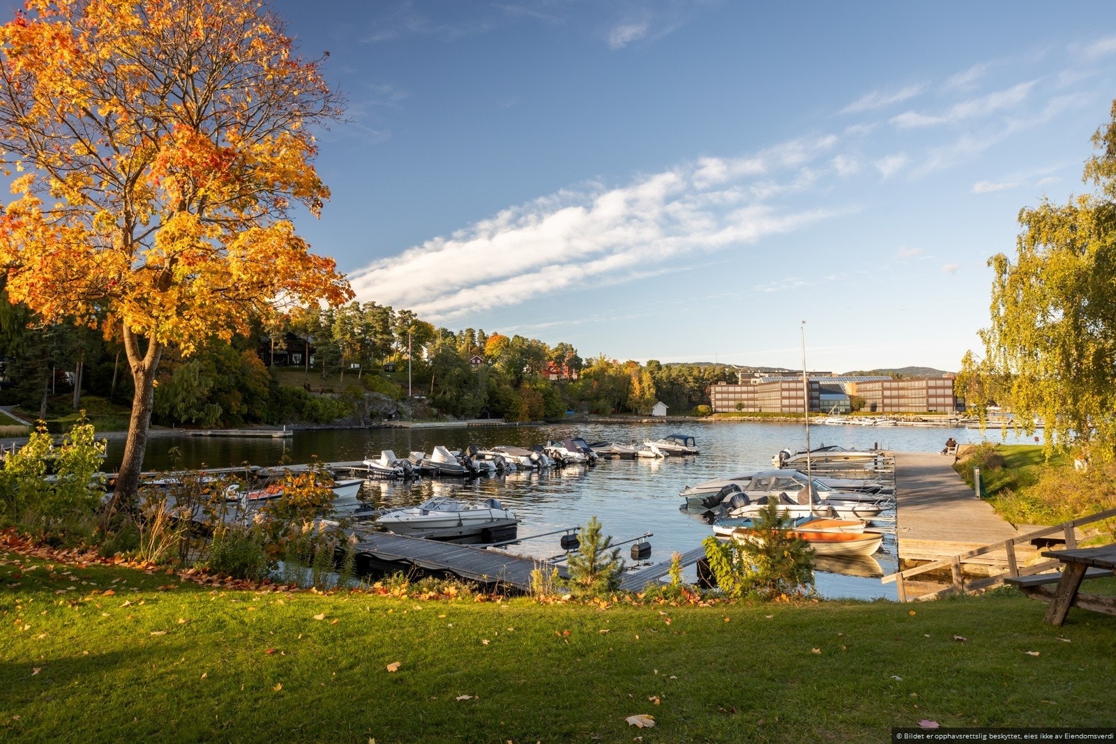 Leietaker kan benytte privat strand og brygge. Galleribilde