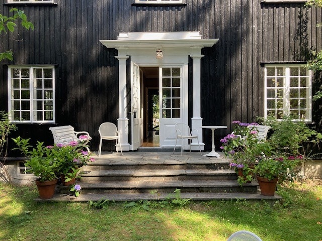 Gå ut i hagen og nyt selskapet fra rådyrene. Galleribilde