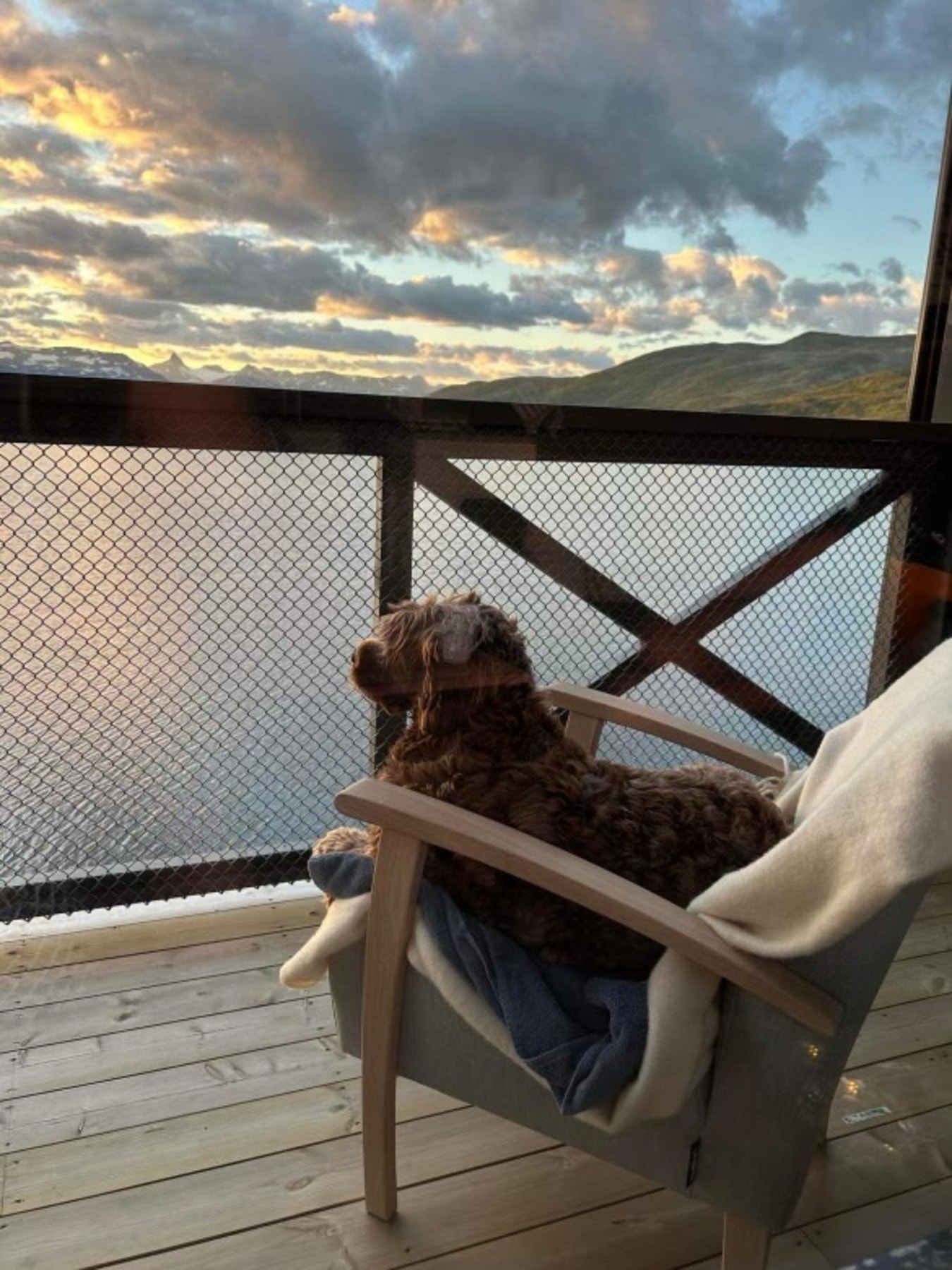 Her blir både to- og firbeinte bergtatt av den flotte utsikten! (Selgers eget foto) Galleribilde