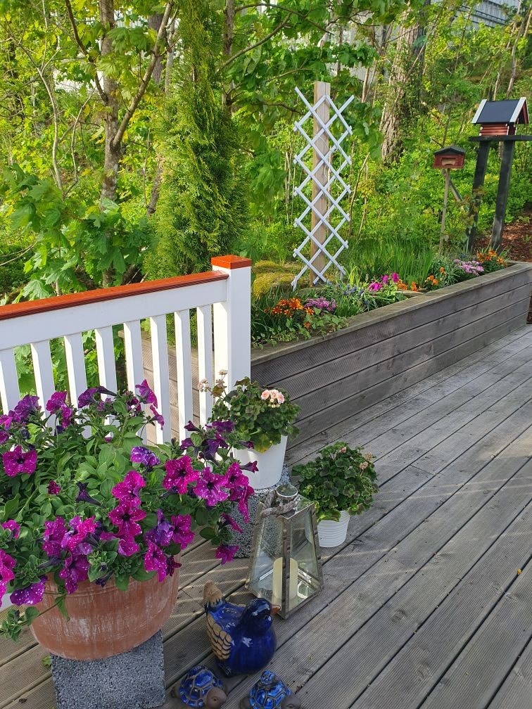 Eiendommen er omgitt av et frodig blomsterliv. Galleribilde