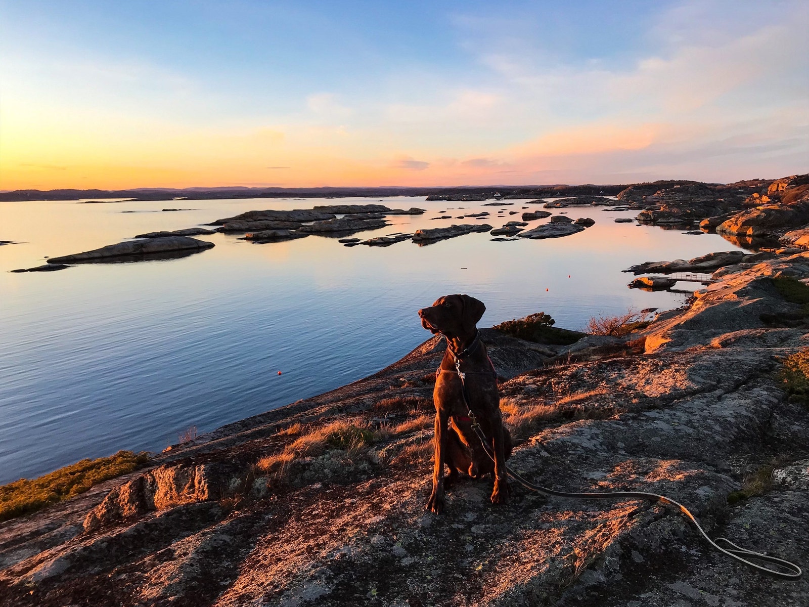 Fra boligen er det kun få minutters gange ned til badestranden, "Regnbuen" som er en av Tjømes mest populære badestrender. I tillegg er det ca. 200 meter, sørover til en annen barnevennlig badestrand. Galleribilde