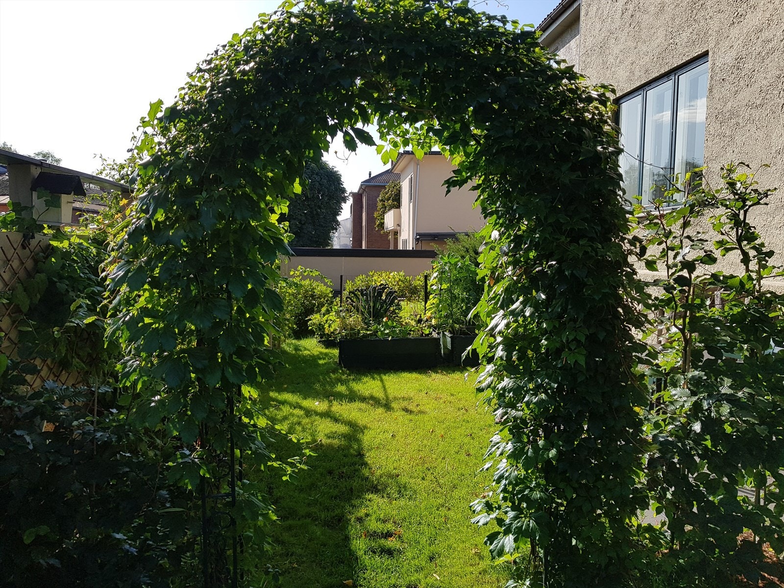 Idyllisk hageparsell med gressplen, pallekasser og beplantning (selgers private bilde). Galleribilde