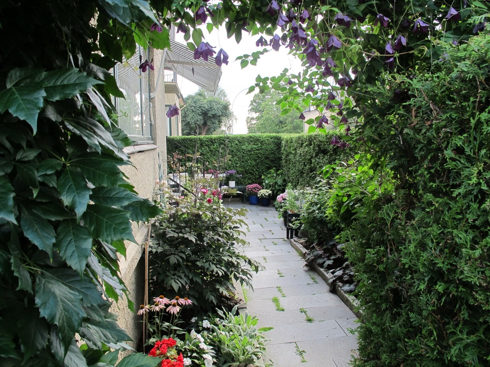 Pent opparbeidet uteareal med gangsti og beplantning (selgers private bilde). Galleribilde